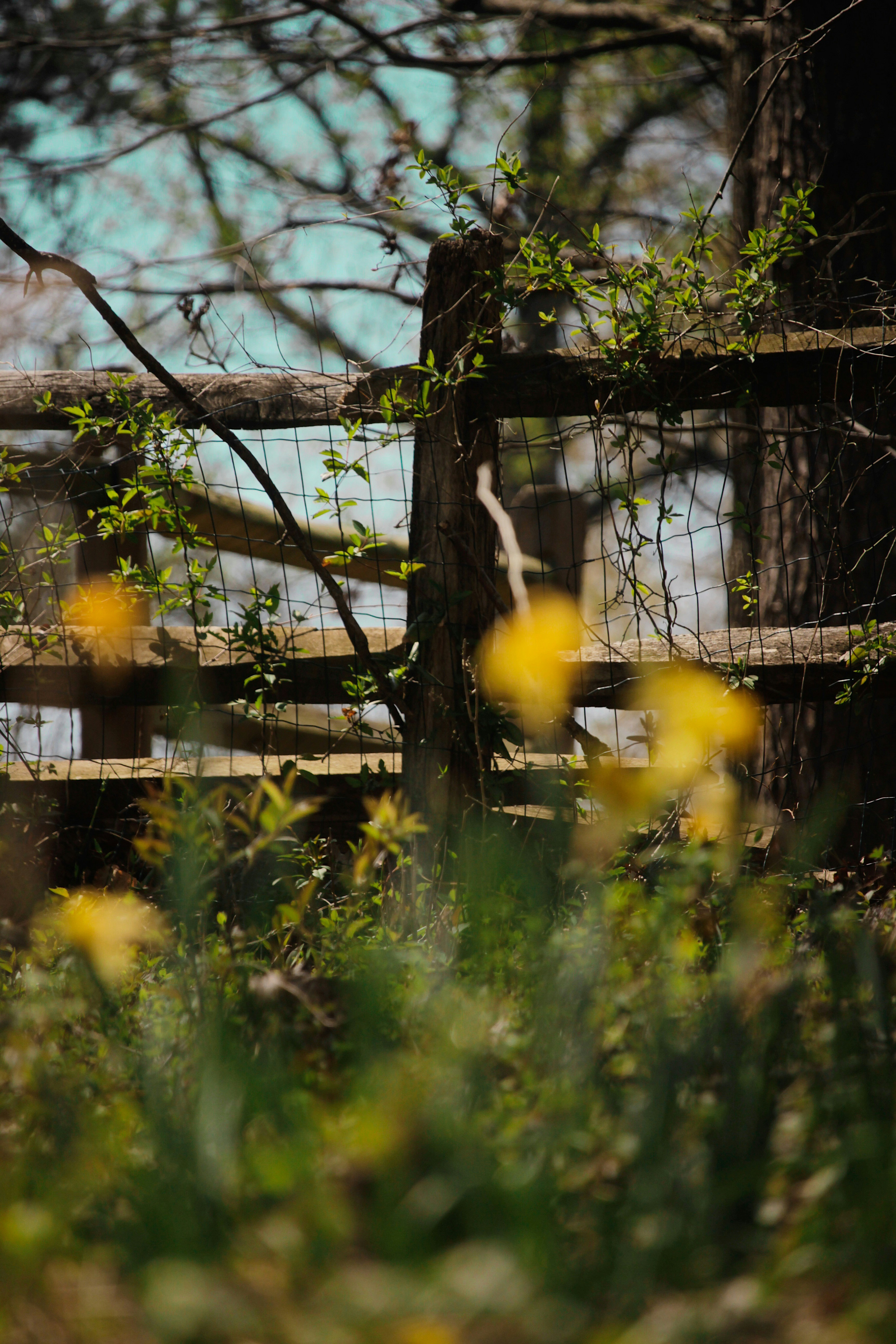 Photo by mariumqureshi_