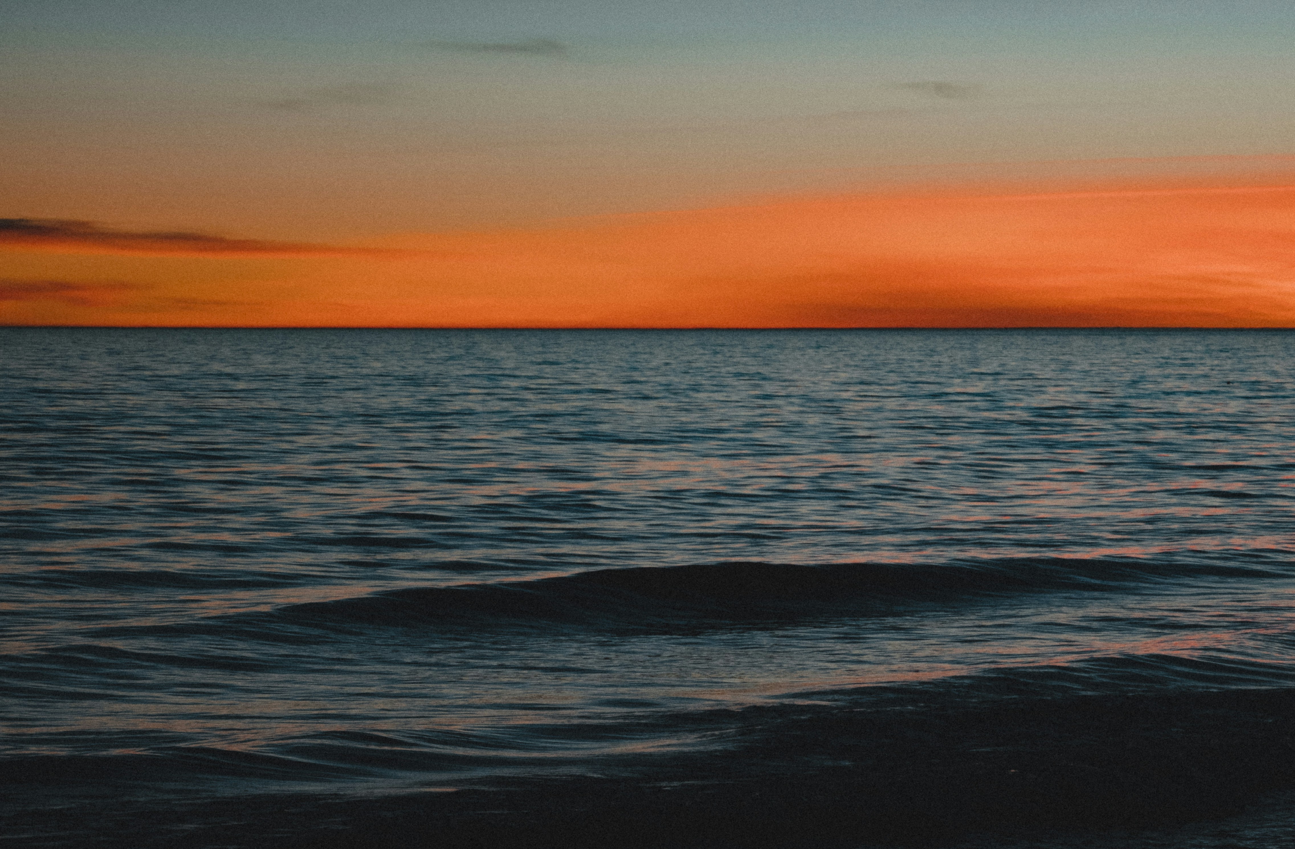 Photo by michielannaert