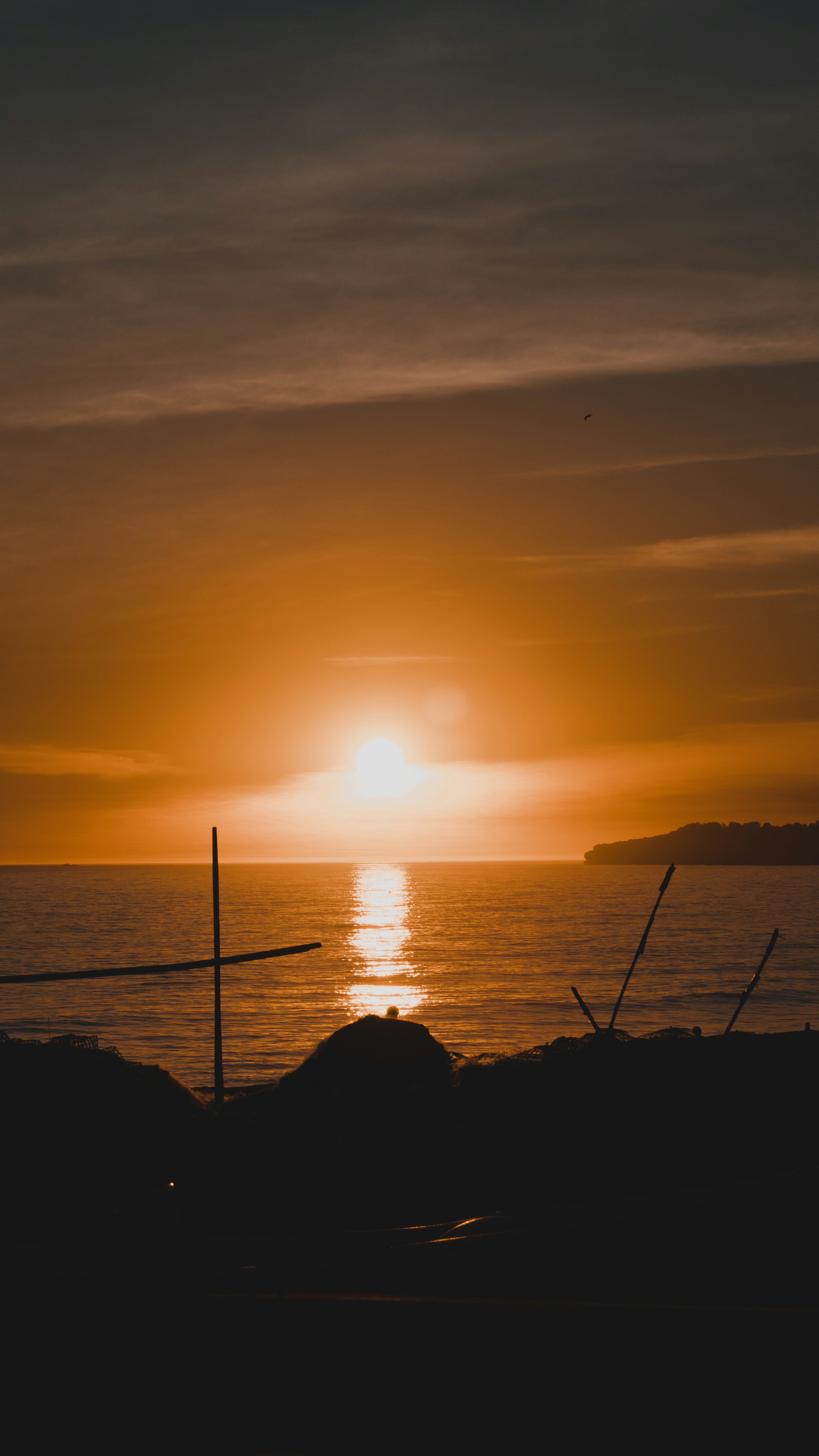 Photo by michielannaert