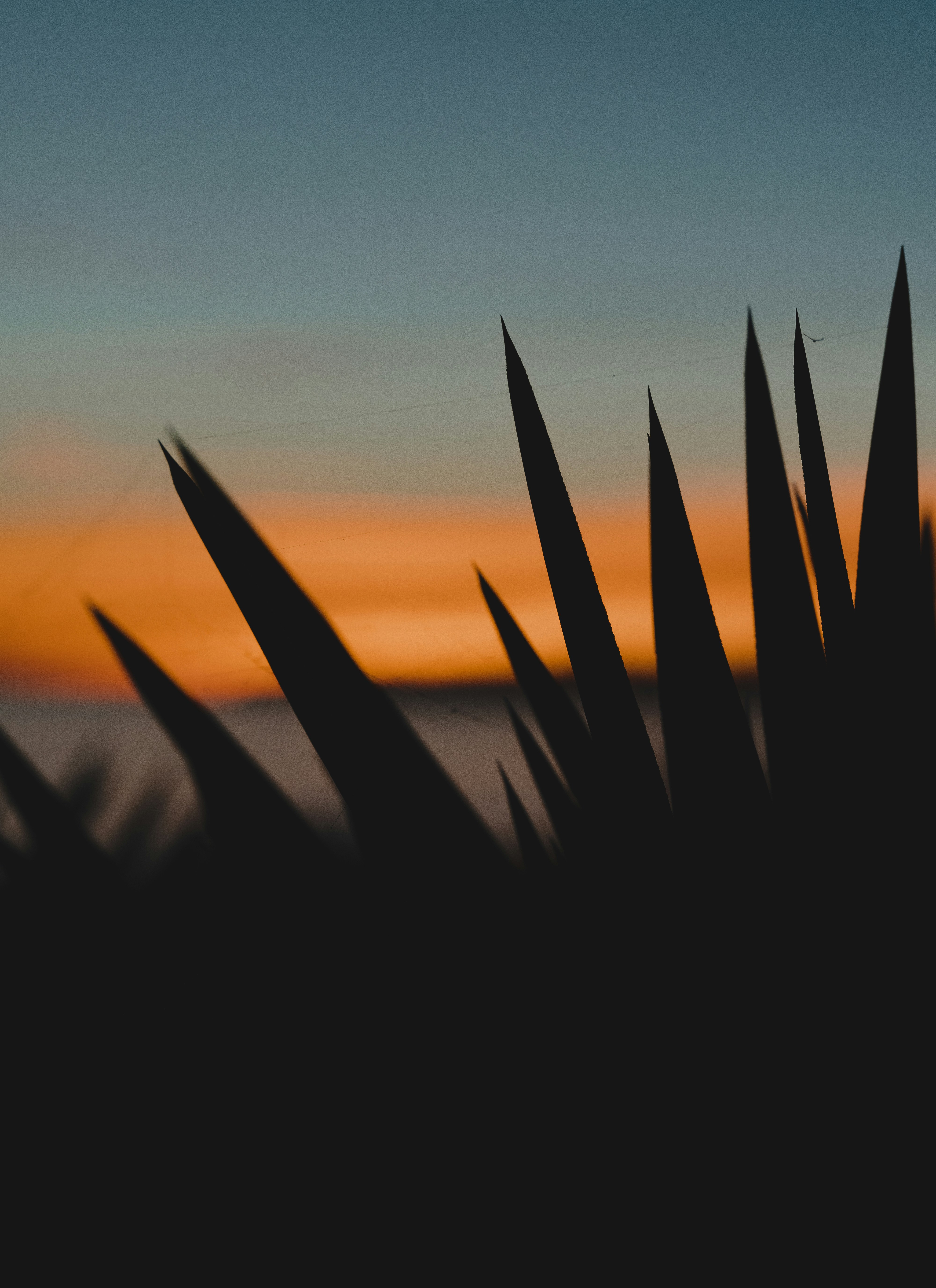 Photo by michielannaert