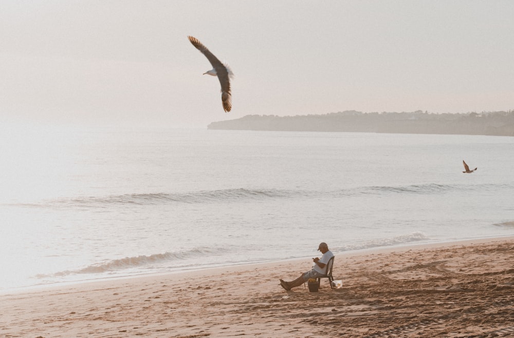 a person sitting on a beach with a dog