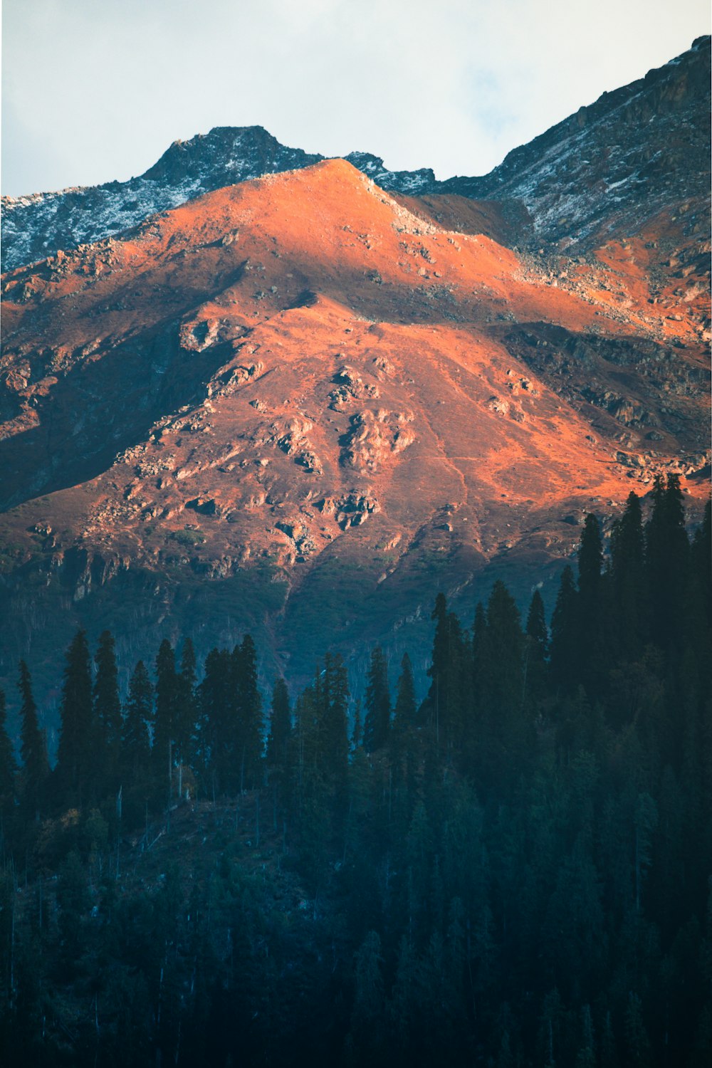 a mountain covered in snow next to a forest