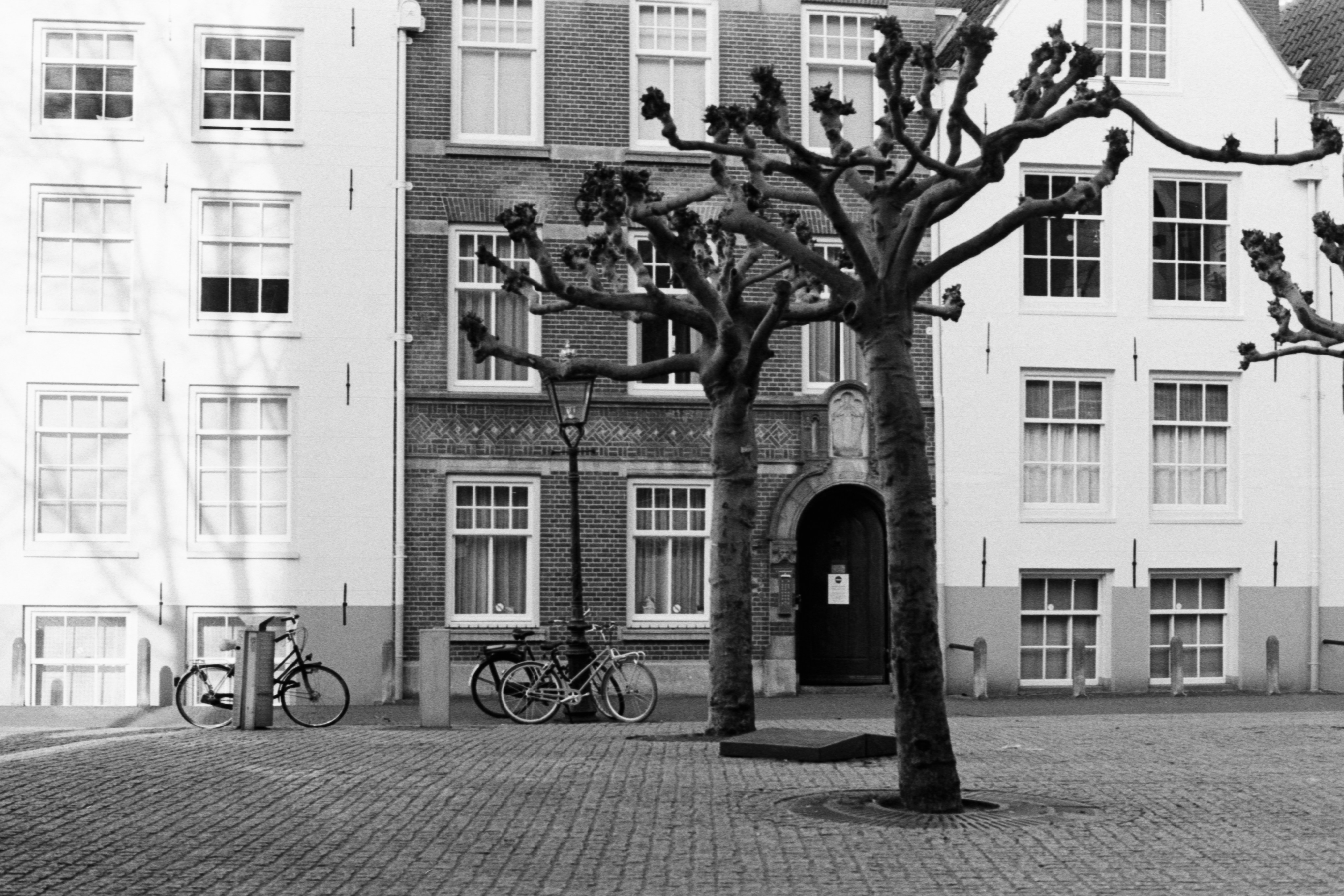 Photo by jeancarloemer