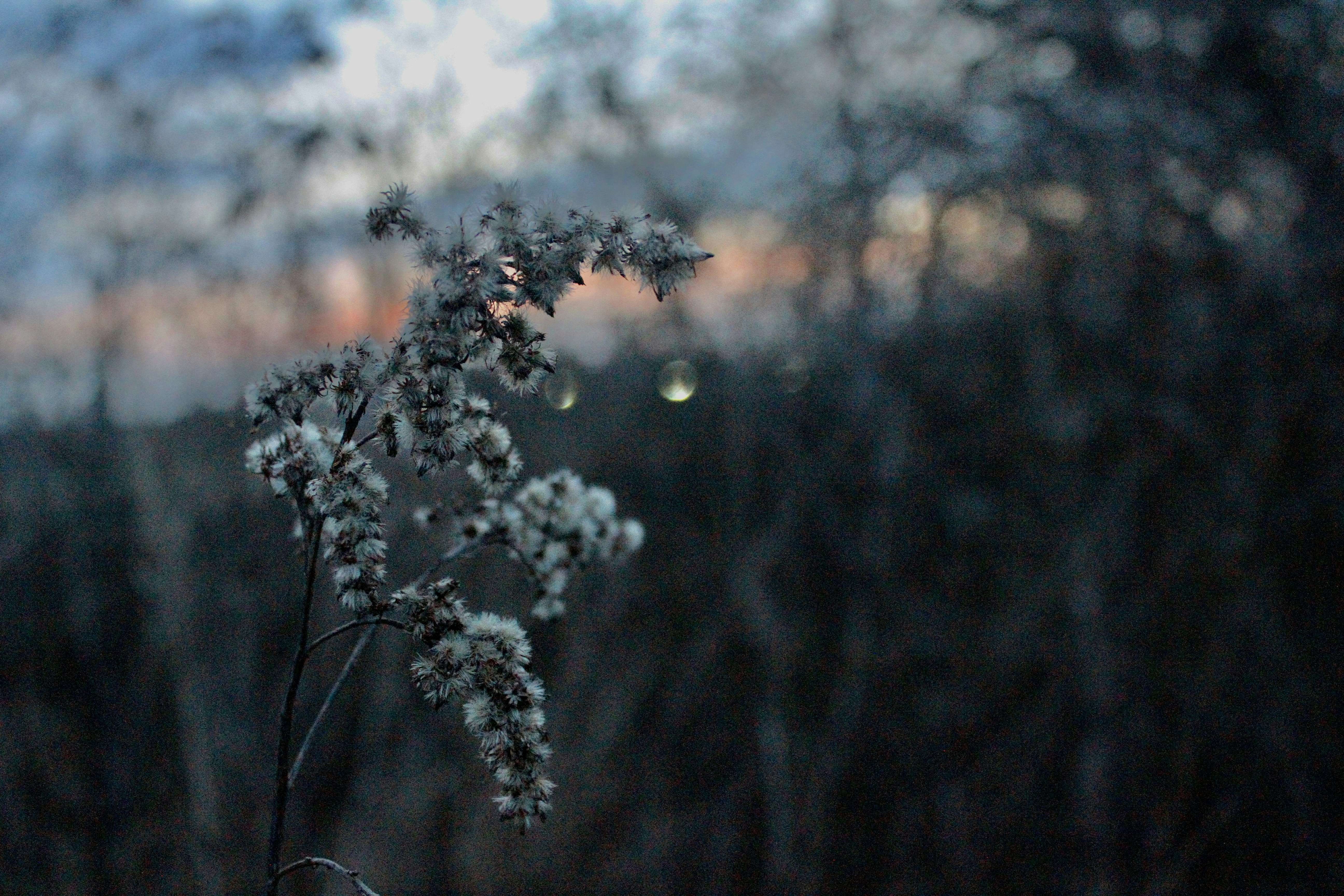 Photo by bozolana