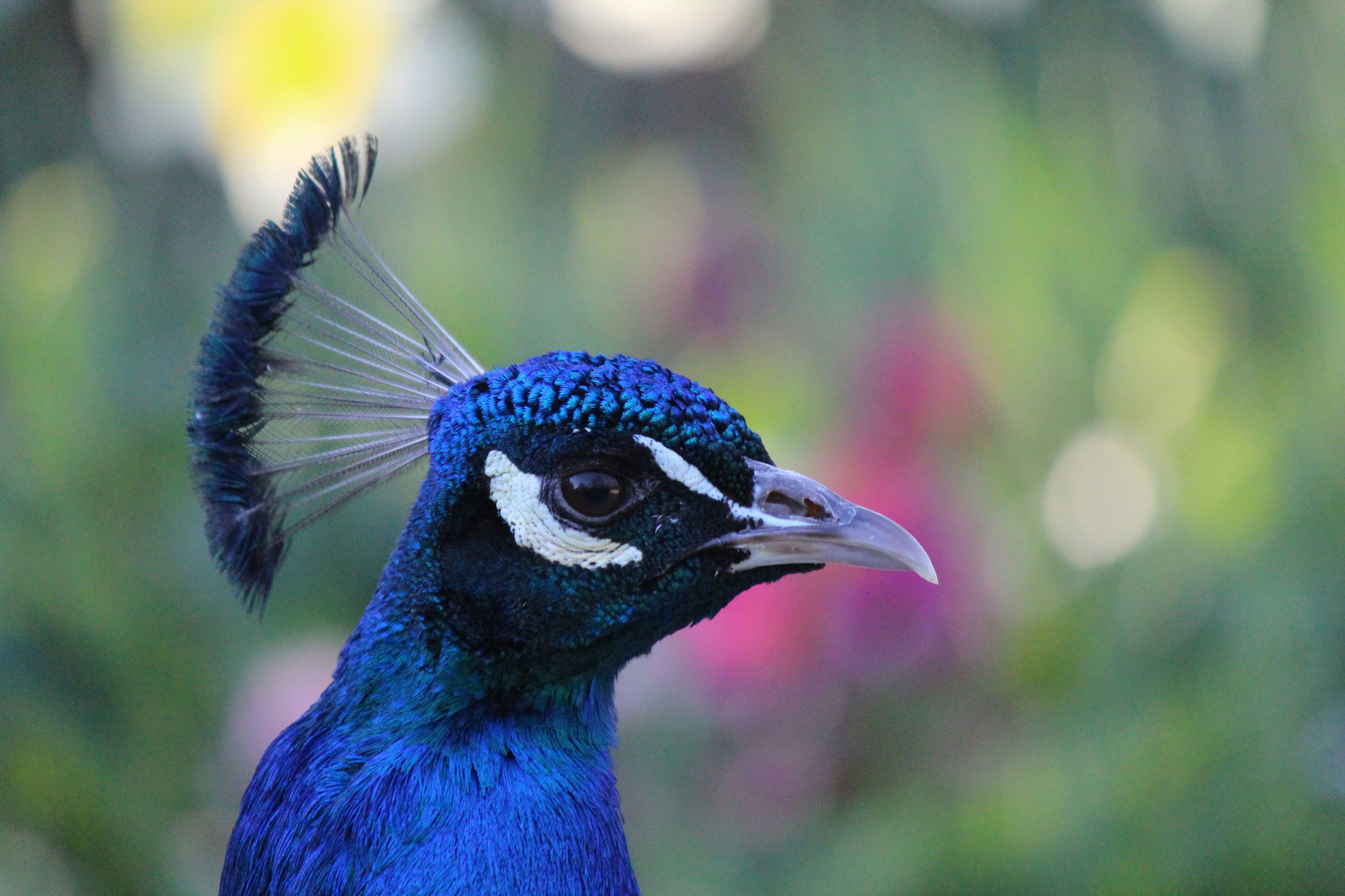 Photo by haim_charbit18