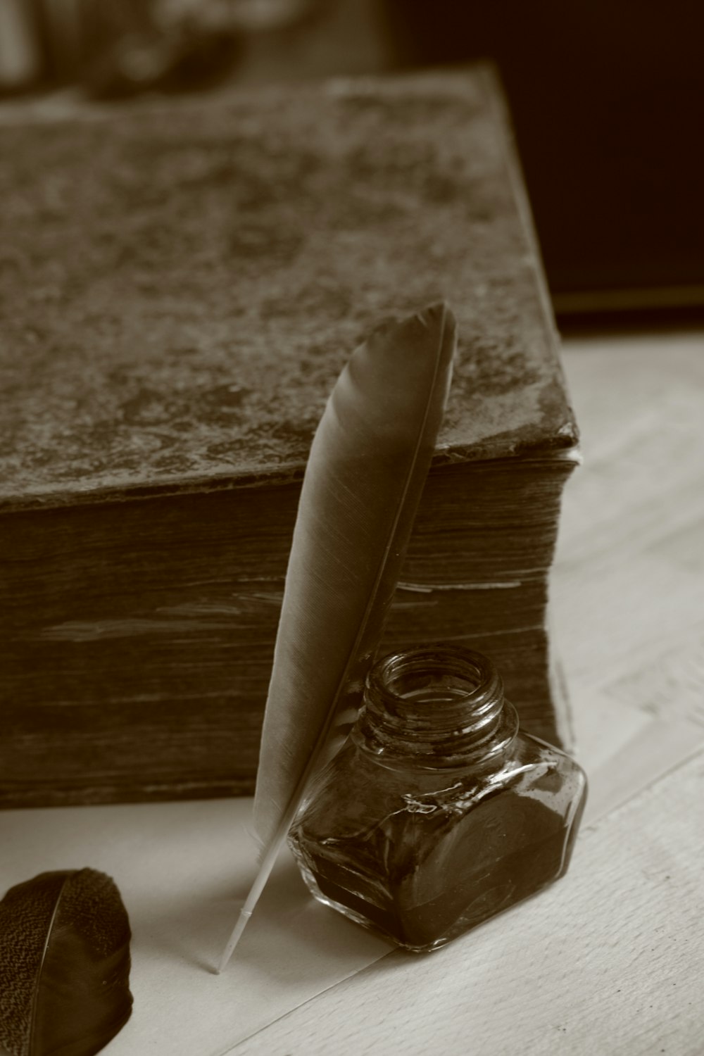 white feather on brown wooden table