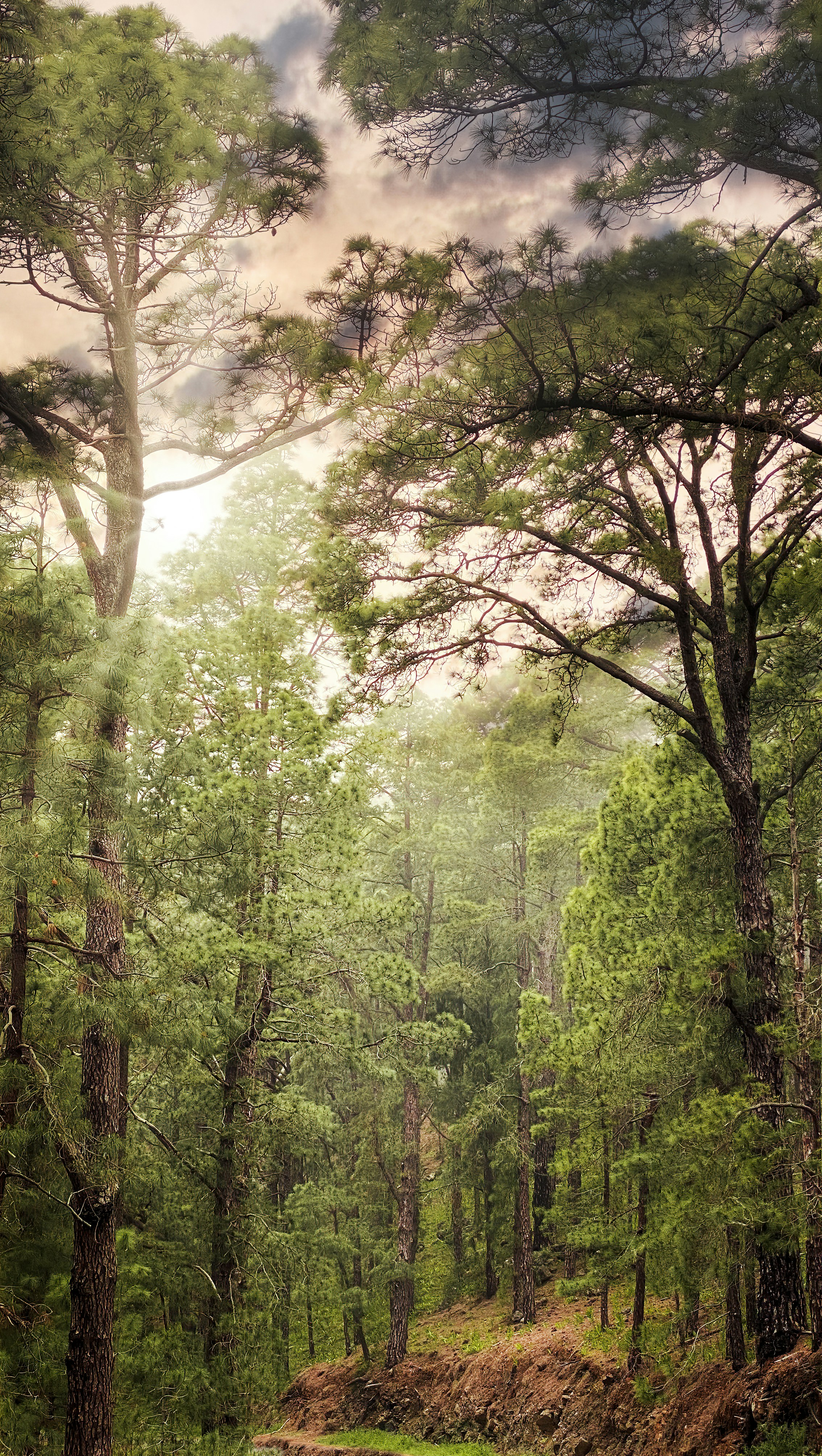 Photo by christianbuehner