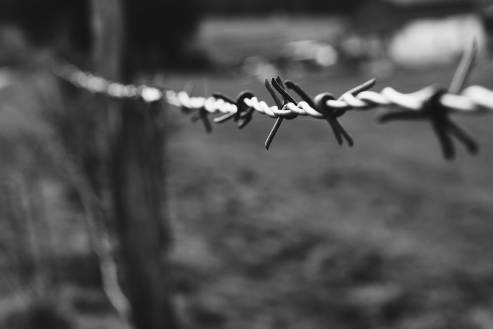 grayscale photo of barbwire in front of trees