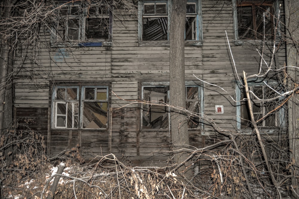 brown wooden house near bare trees during daytime