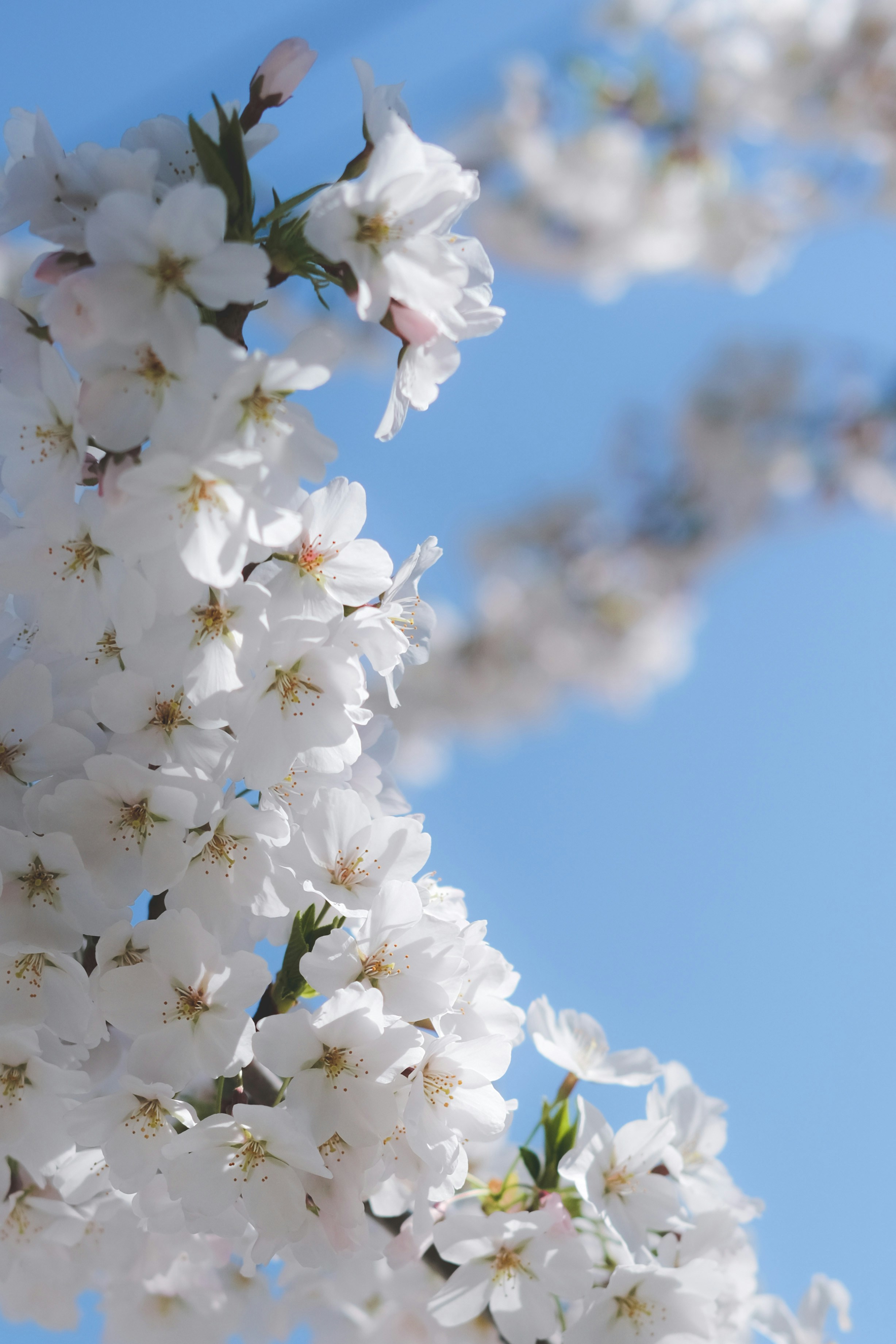 Photo by create4eyes