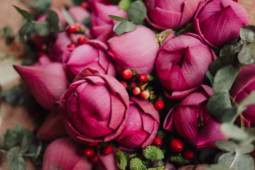 pink and white flower buds