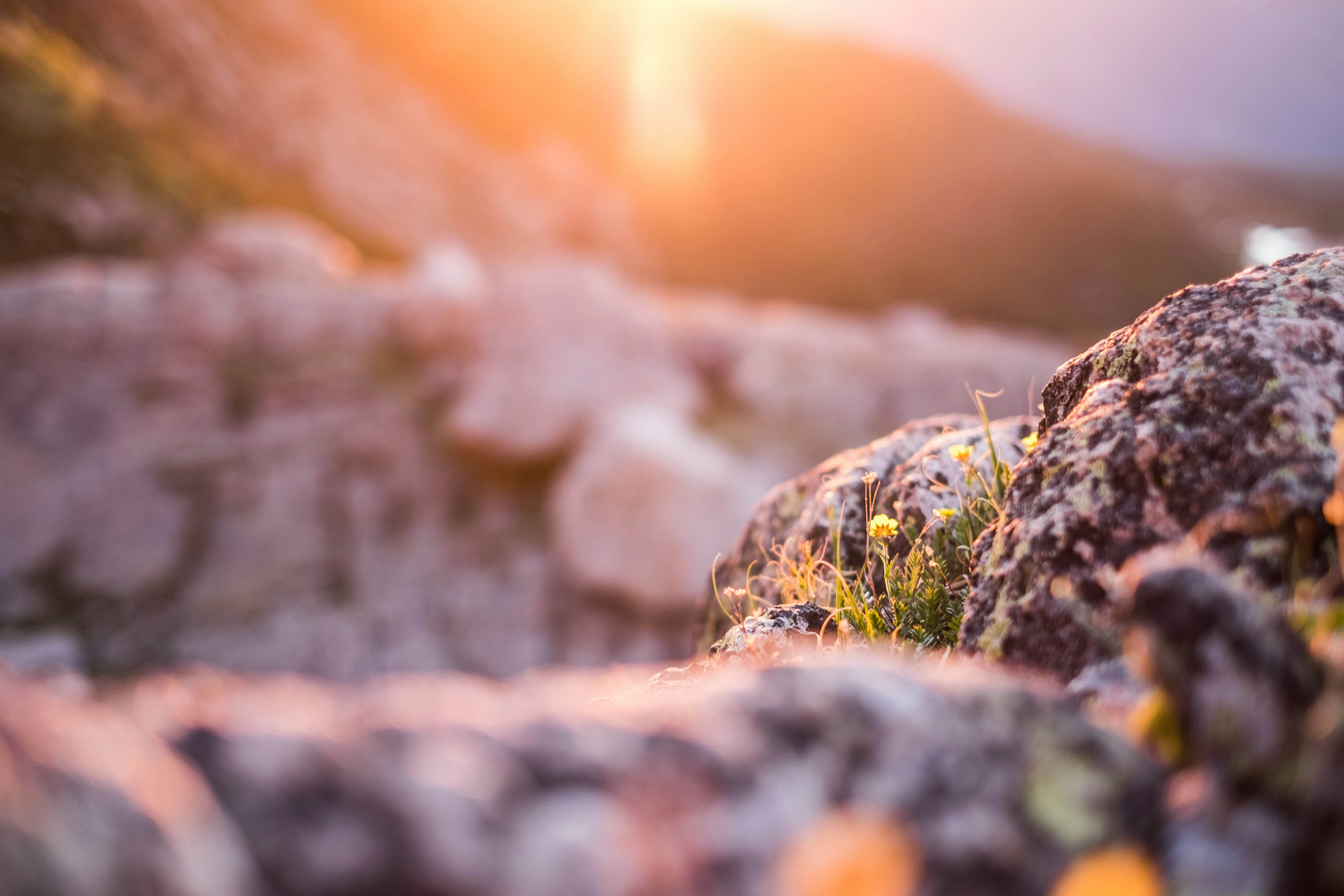 Photo by benjamin_deyoung