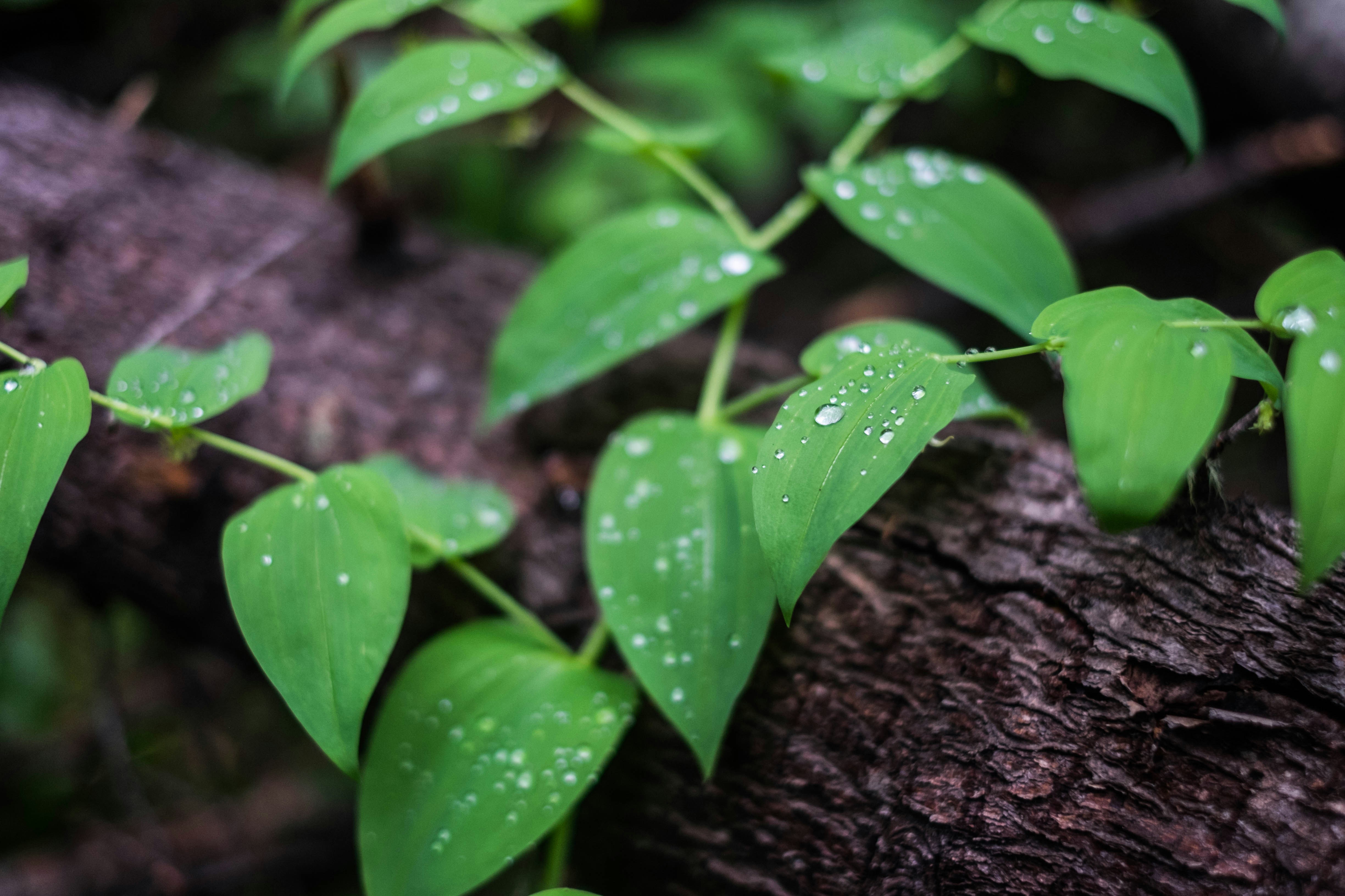 Photo by benjamin_deyoung