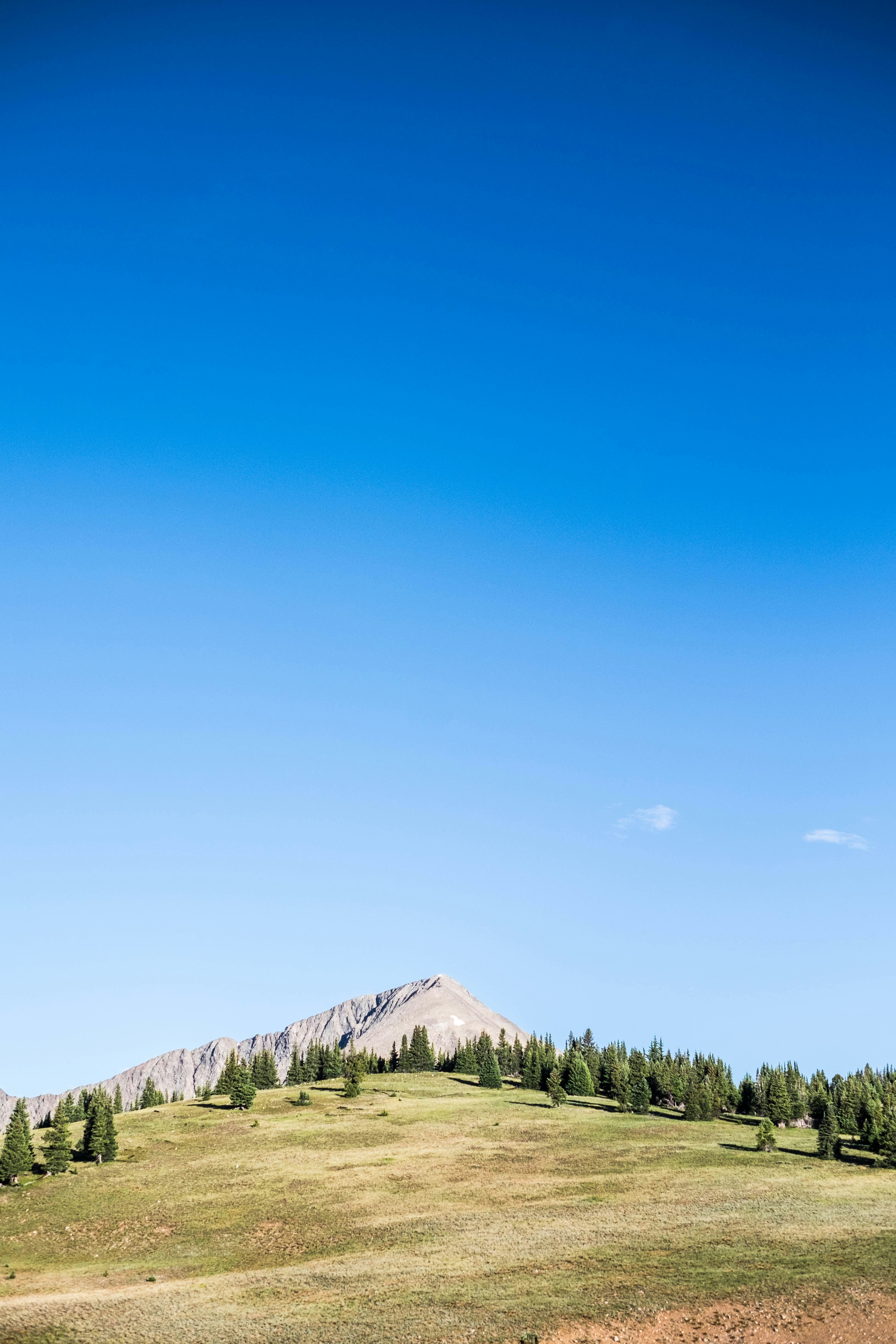 Photo by benjamin_deyoung