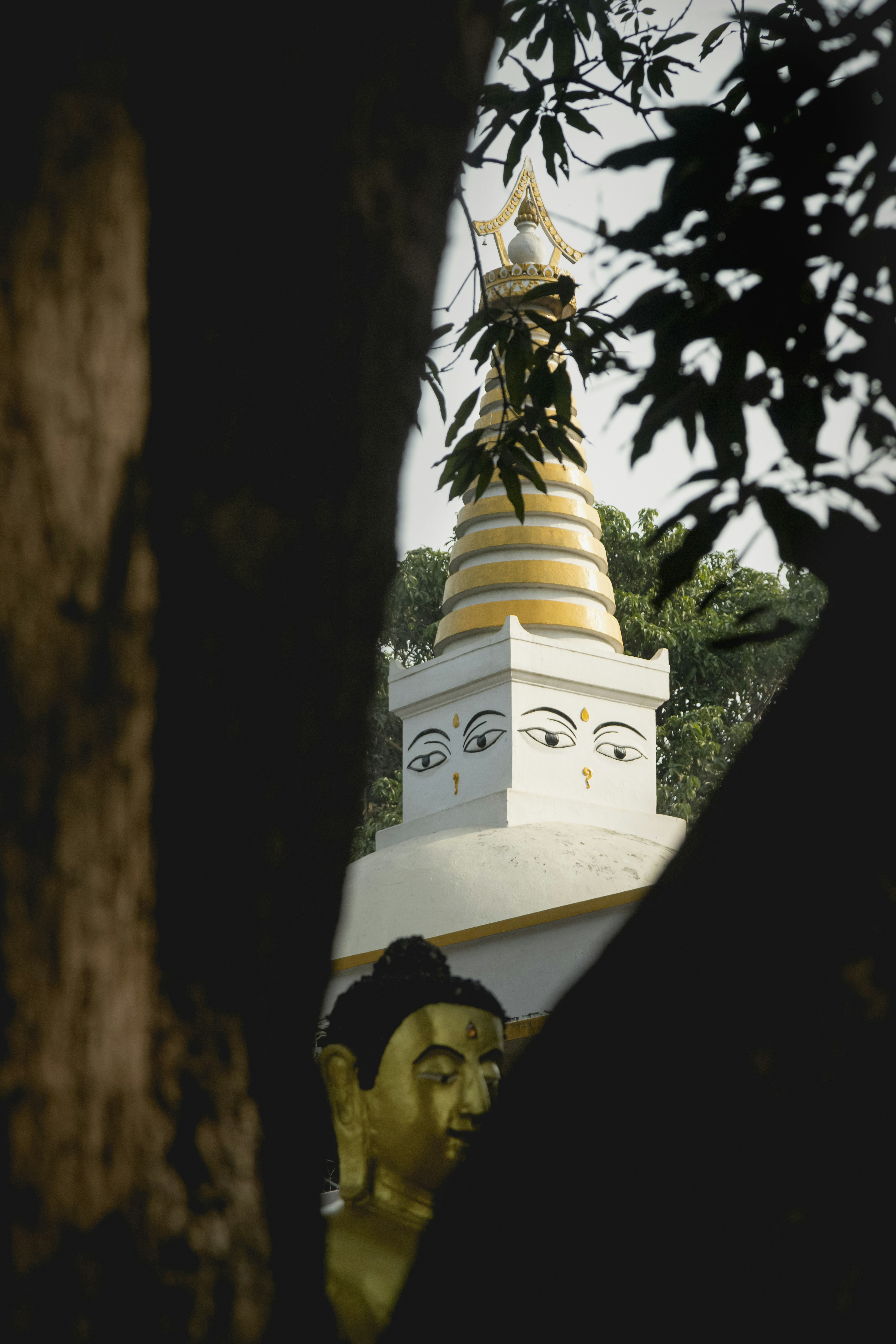 black and white bed linen