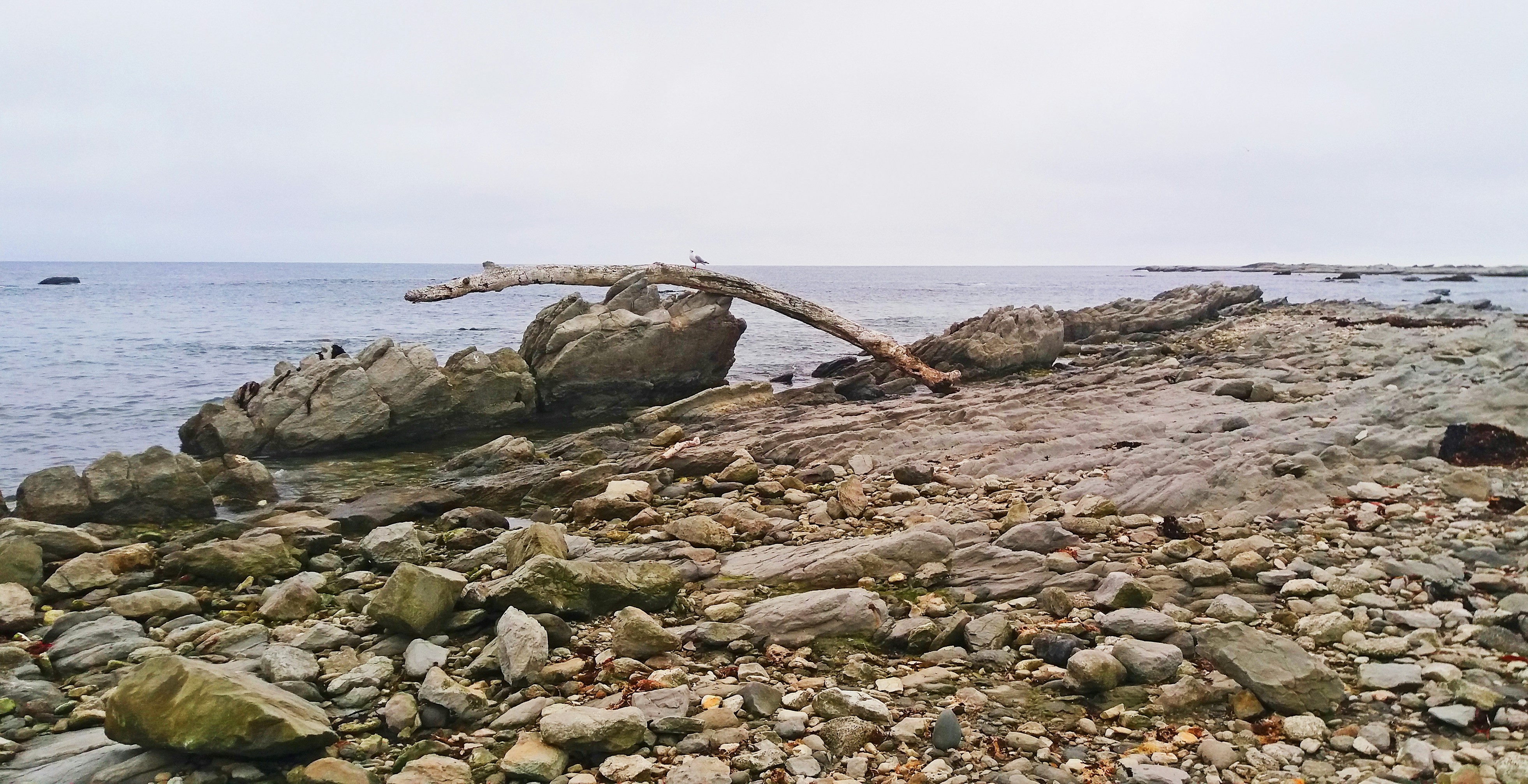 Photo by splashabout