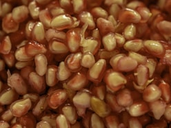 red and white round fruits