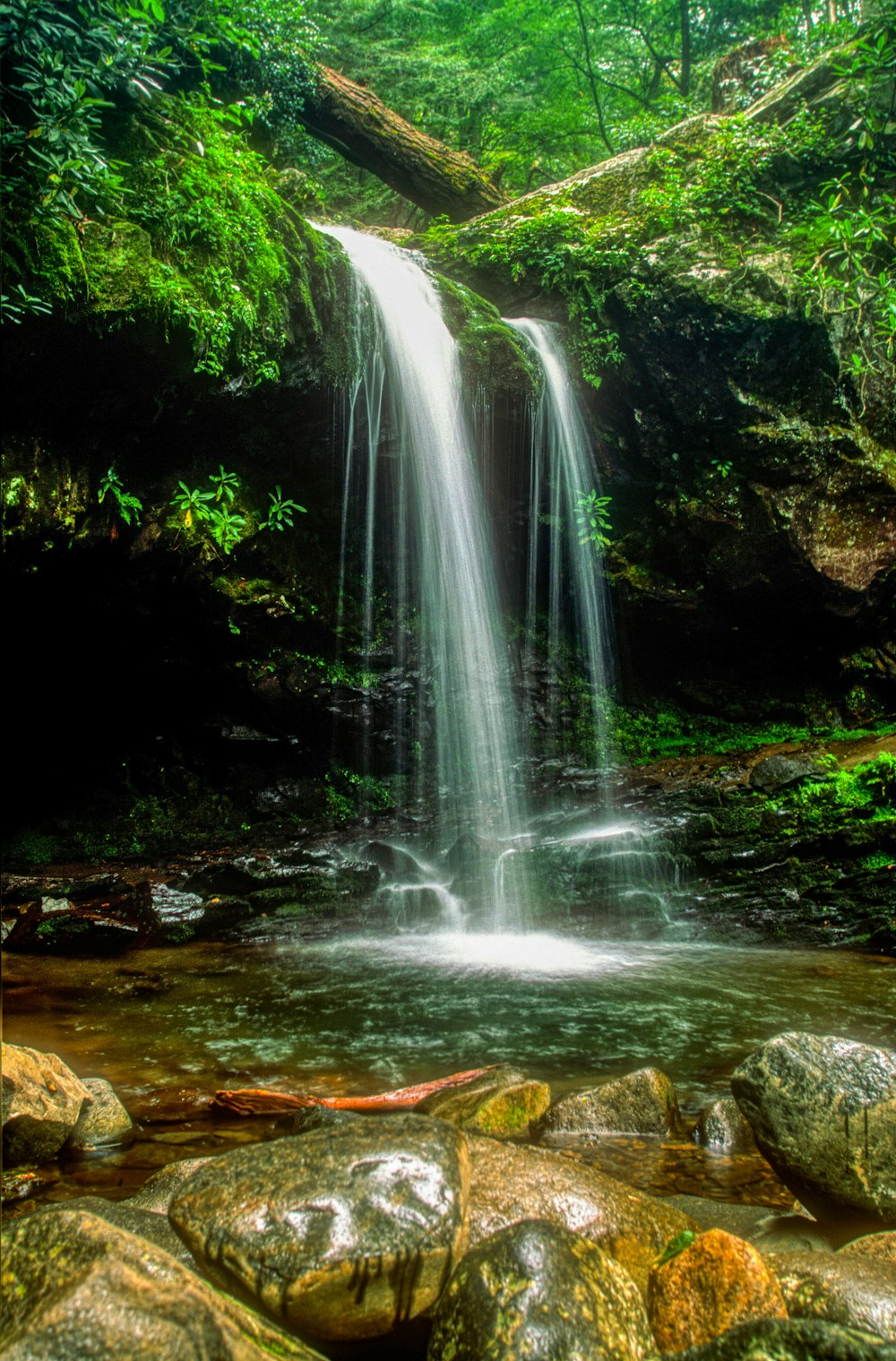 water falls in the middle of the forest