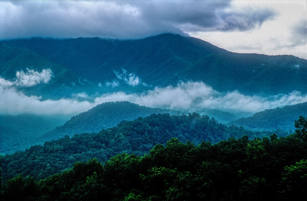 昼間の白い雲の下の山の緑の木々