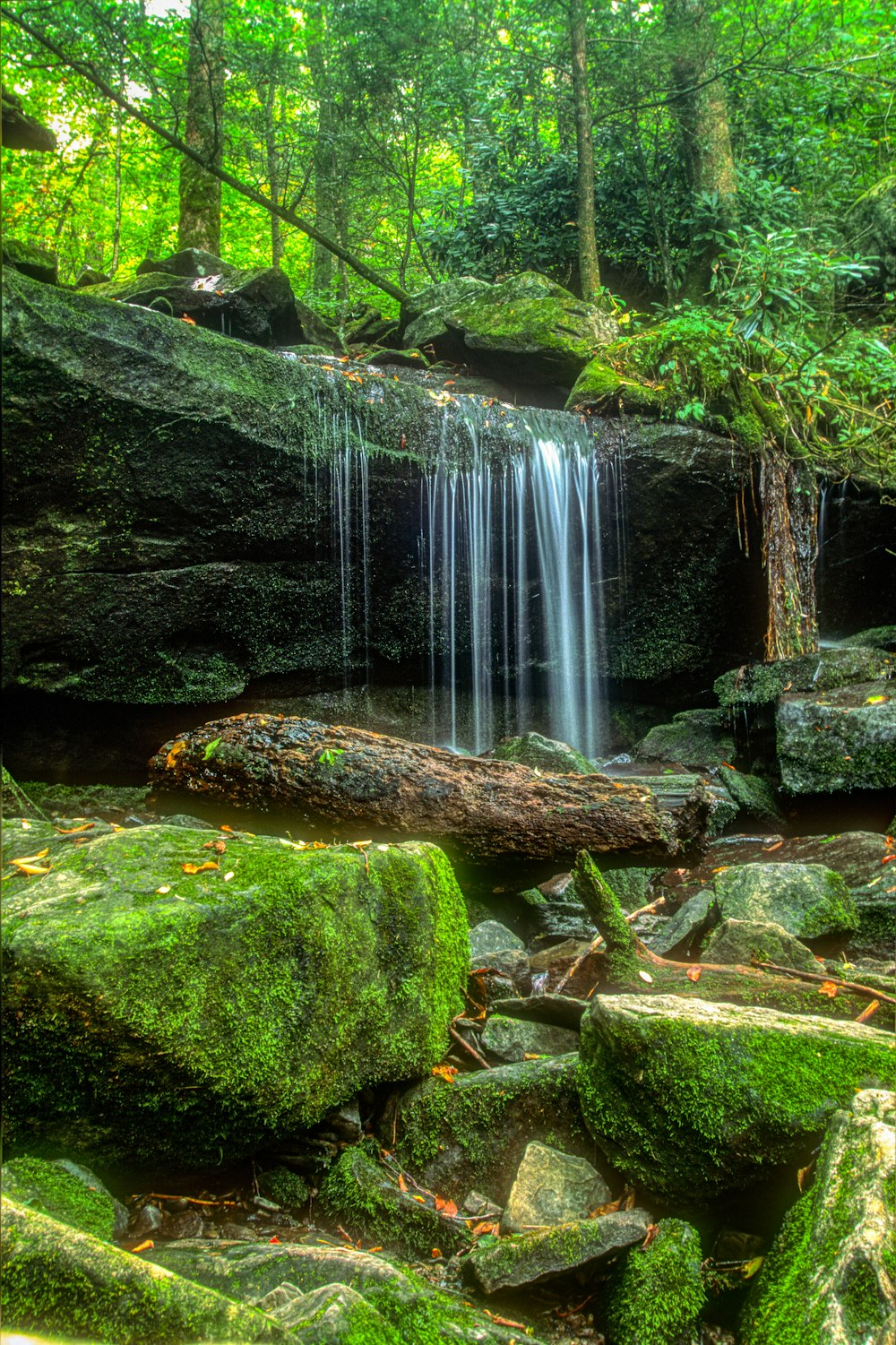 water falls on green moss covered rocks