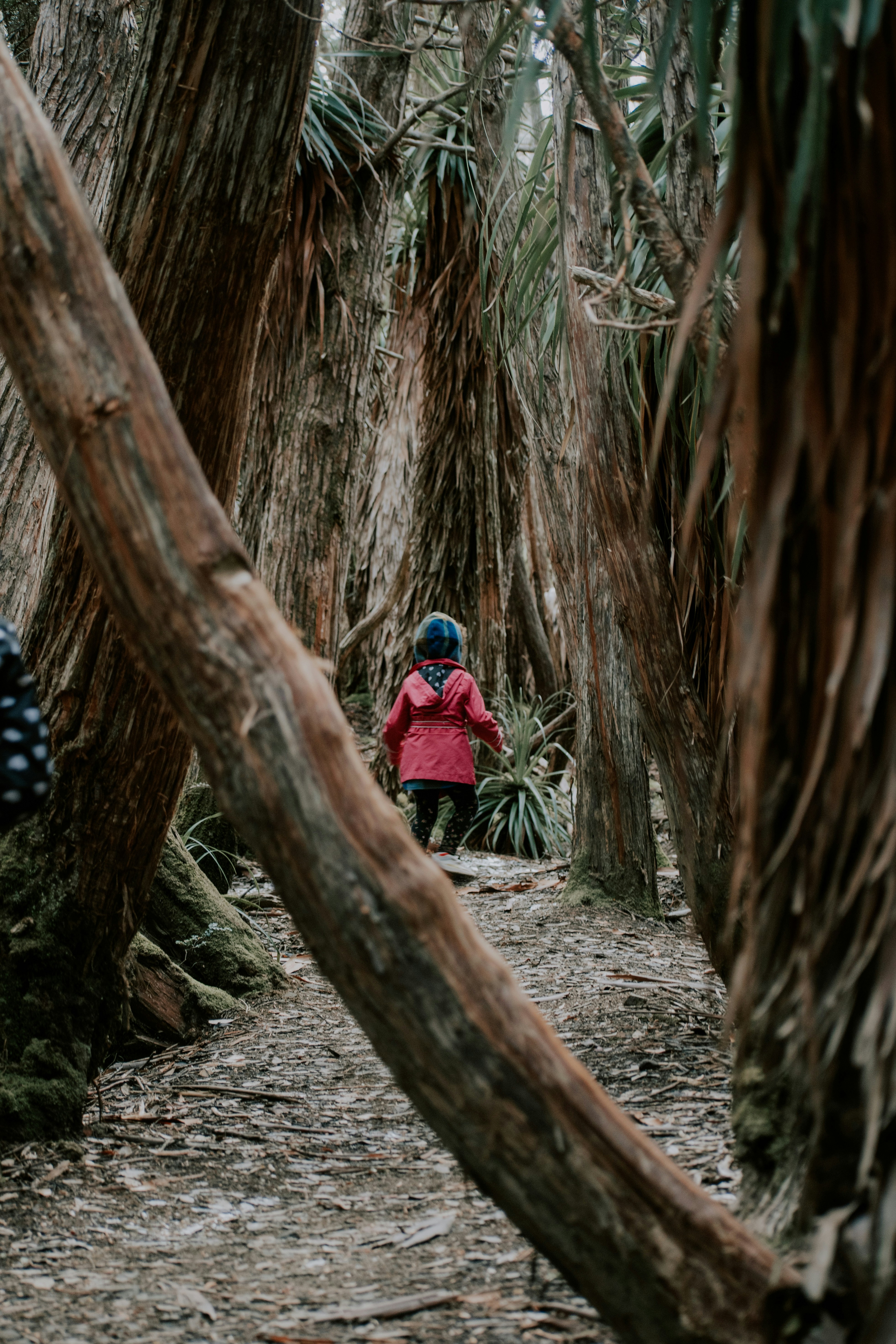 赤いパーカーと青いズボンを着た子供が木の幹に座っている