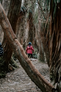 child in red hoodie and blue pants sitting on tree trunk