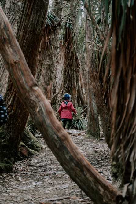 child in red hoodie and blue pants sitting on tree trunk