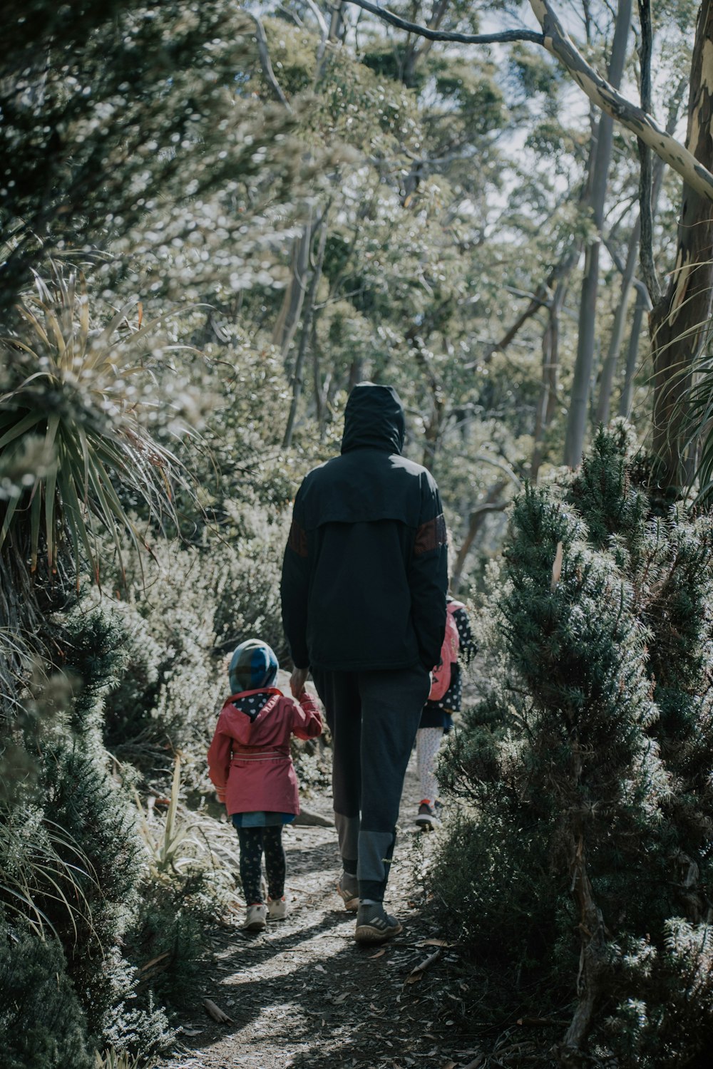 uomo in giacca nera e pantaloni rossi che camminano sulla foresta durante il giorno