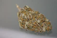 brown and white rice grain