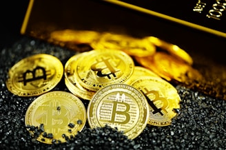 gold and silver round coins