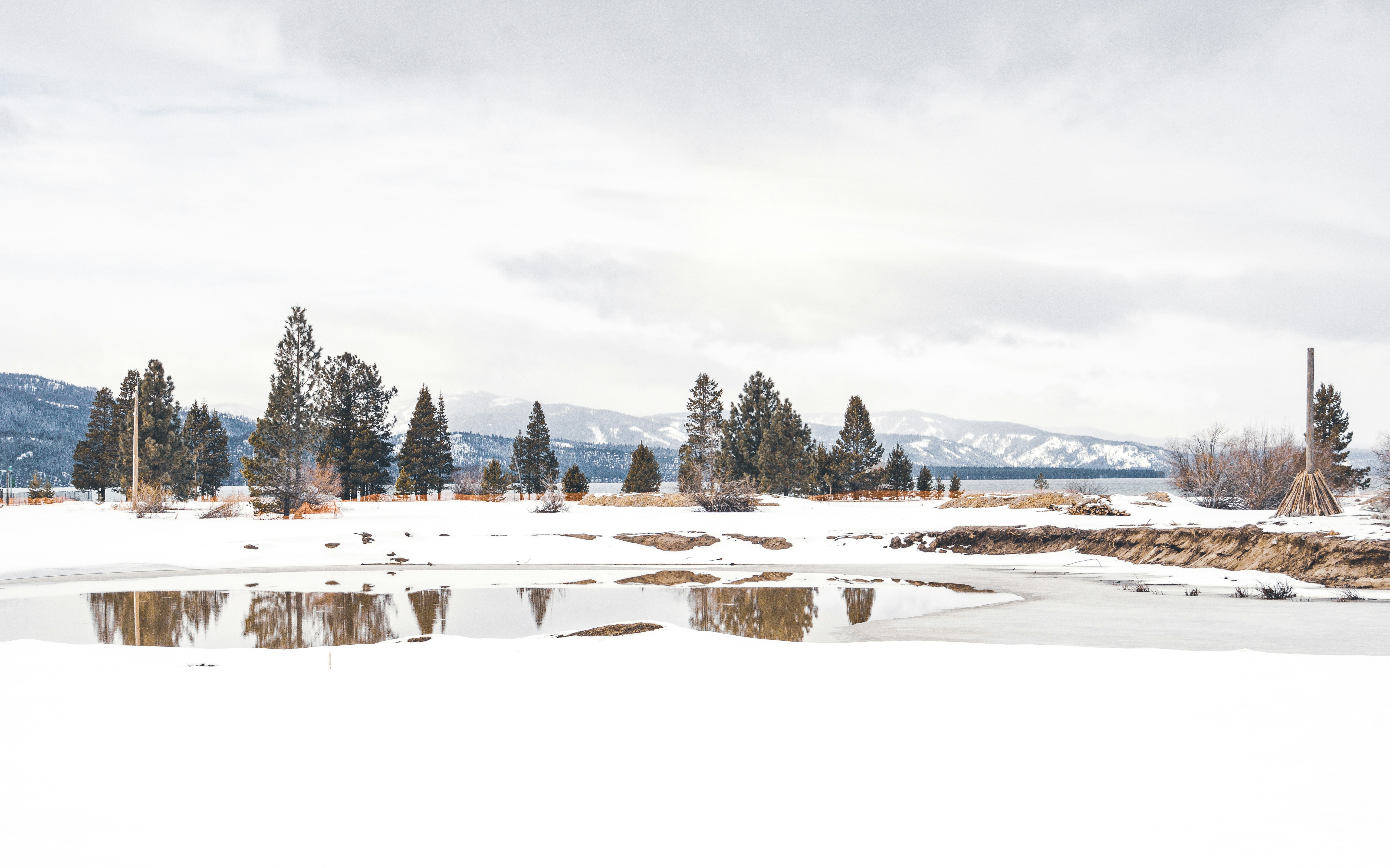 Photo by _chinchilla_