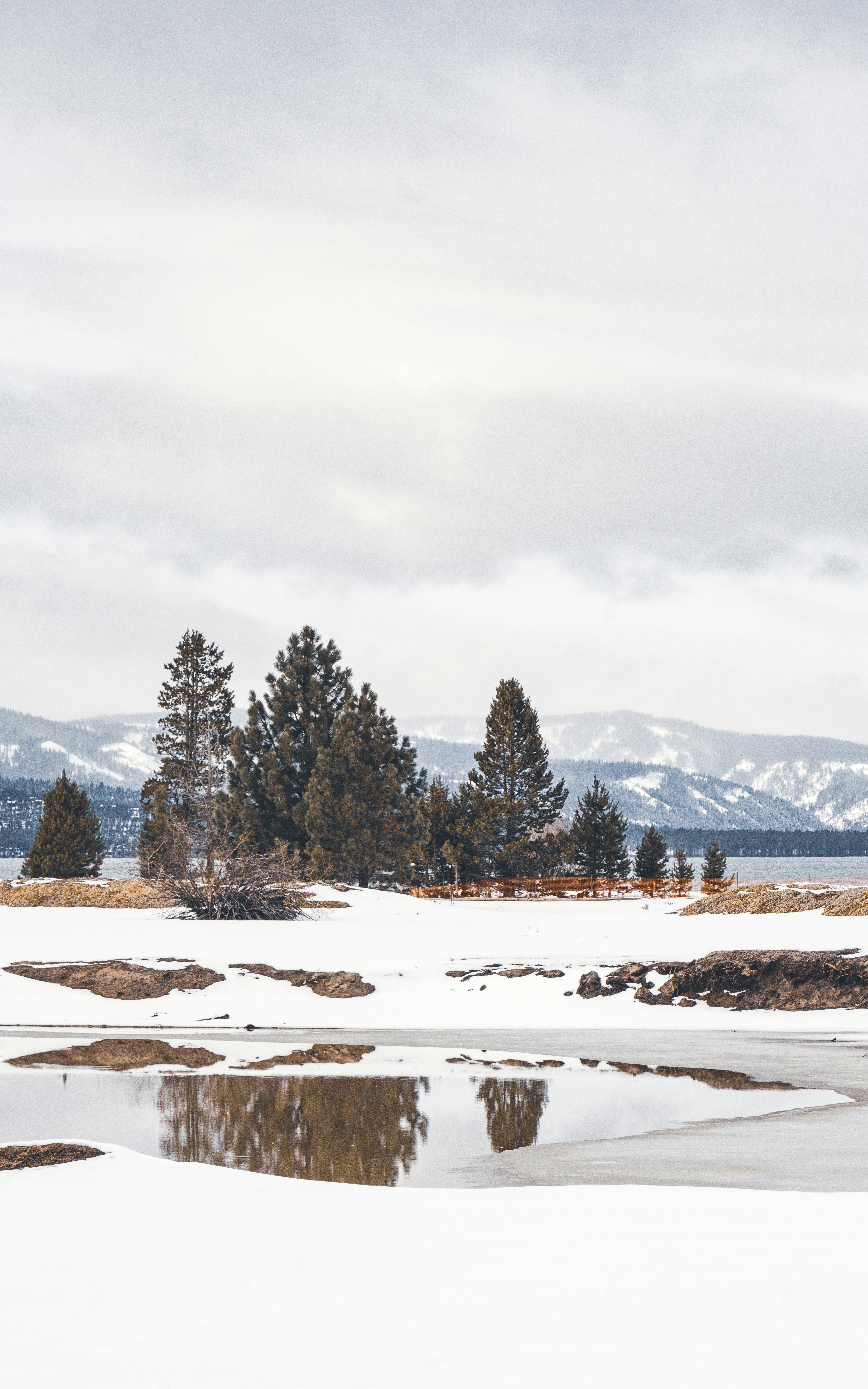 Photo by _chinchilla_