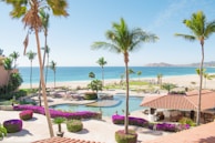 A tropical resort scene featuring a clear blue ocean in the background, bordered by a sandy beach. Tall palm trees are scattered around the area, surrounding a large swimming pool and a patio with seating areas. Bright purple bougainvillea and other greenery add vibrant colors to the scene. The sky is mostly clear with a few clouds.
