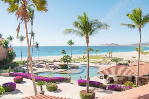 A tropical resort scene featuring a clear blue ocean in the background, bordered by a sandy beach. Tall palm trees are scattered around the area, surrounding a large swimming pool and a patio with seating areas. Bright purple bougainvillea and other greenery add vibrant colors to the scene. The sky is mostly clear with a few clouds.