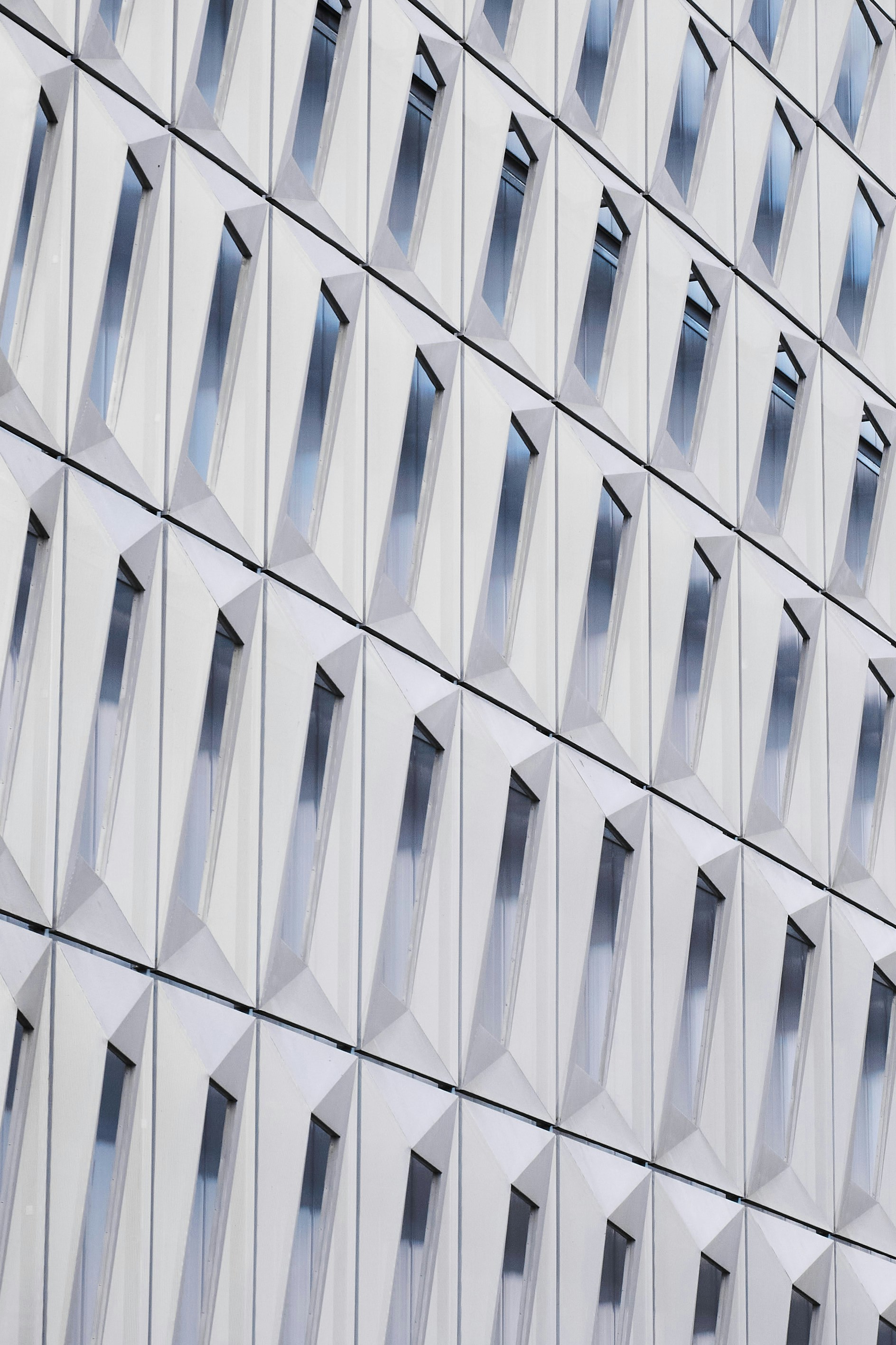 Photo by lazardanlucian