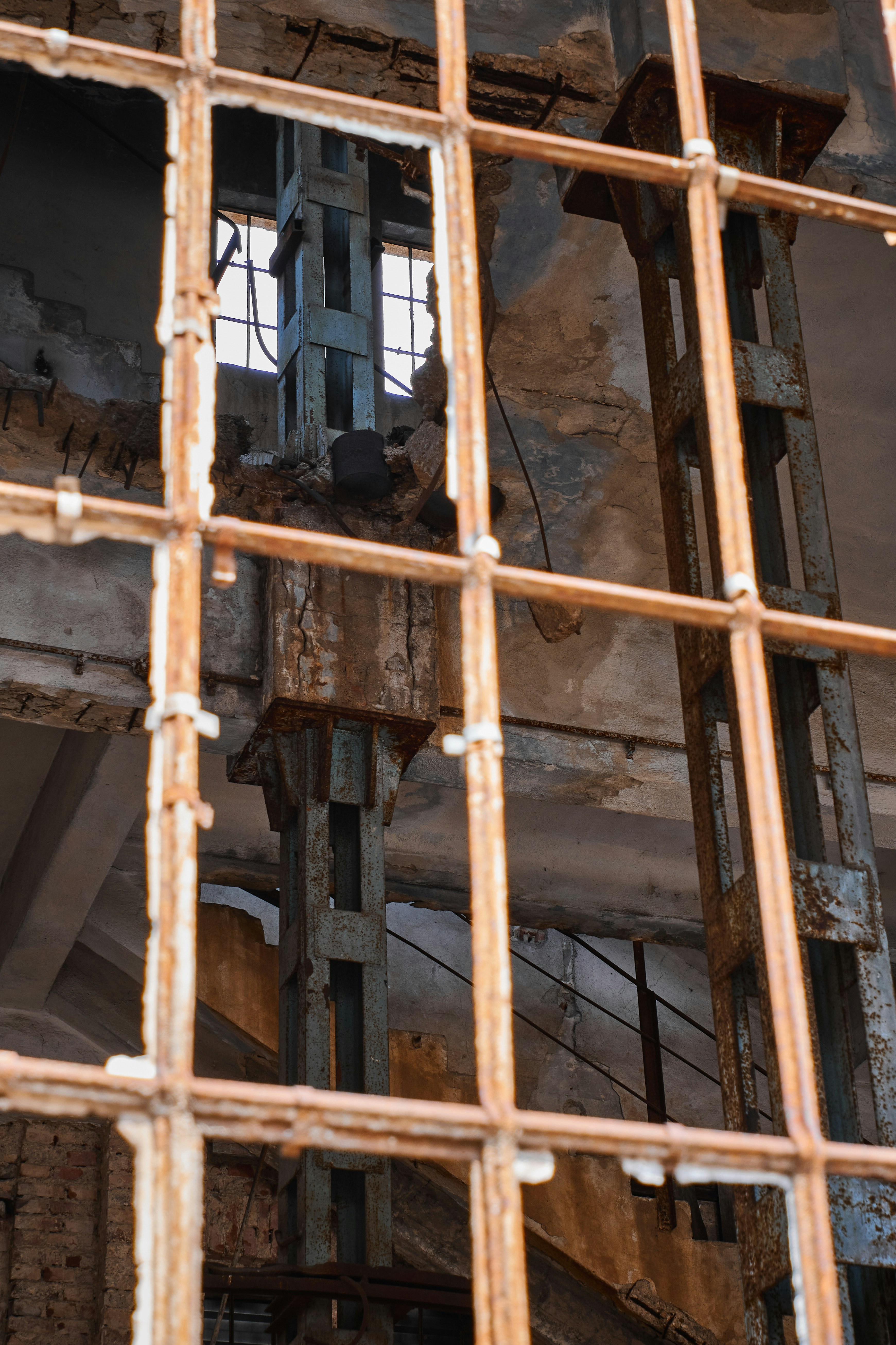 Photo by lazardanlucian