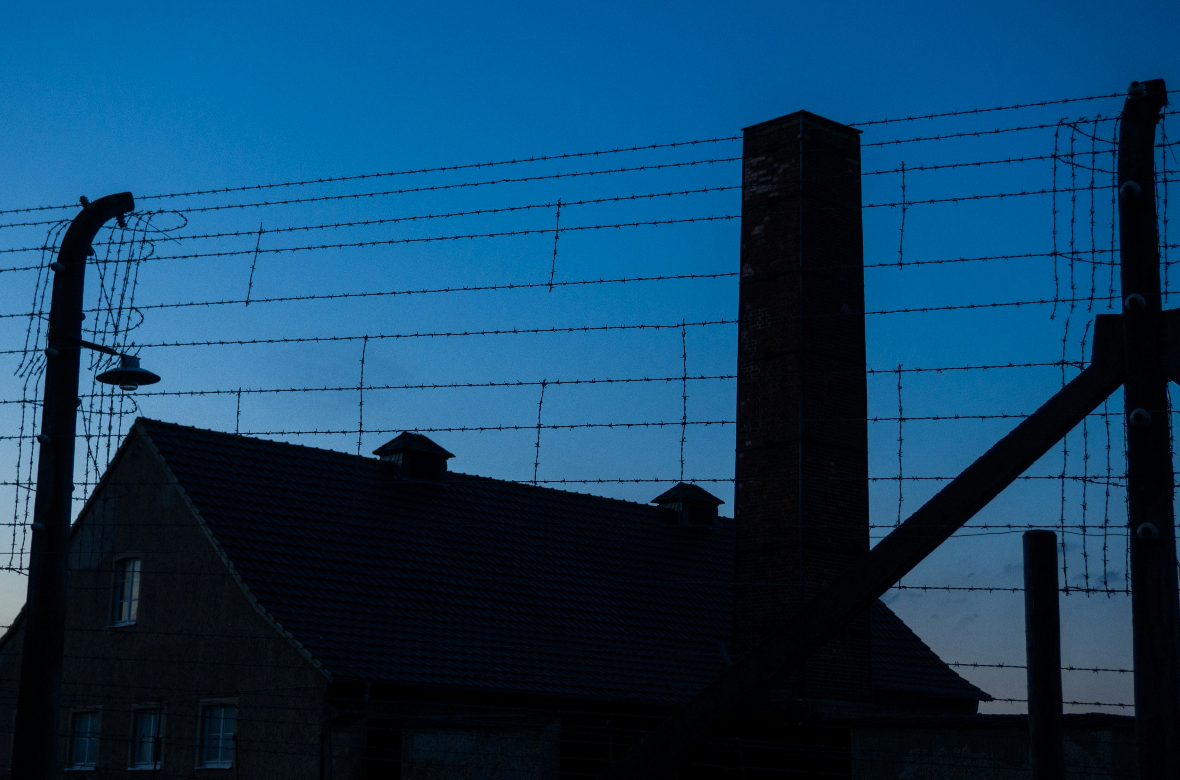 Photo by wimvanteinde