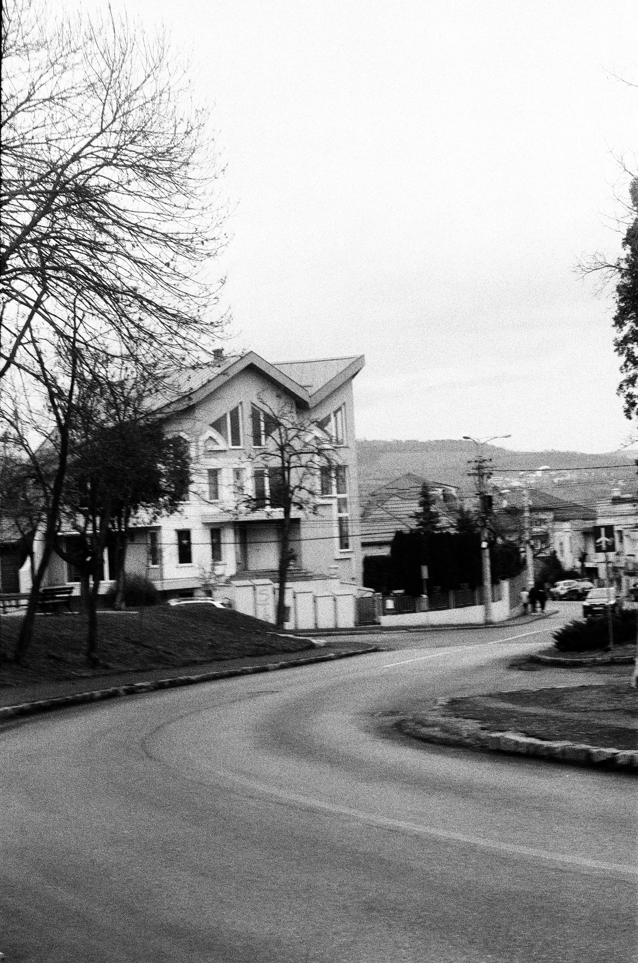 Photo by lazardanlucian