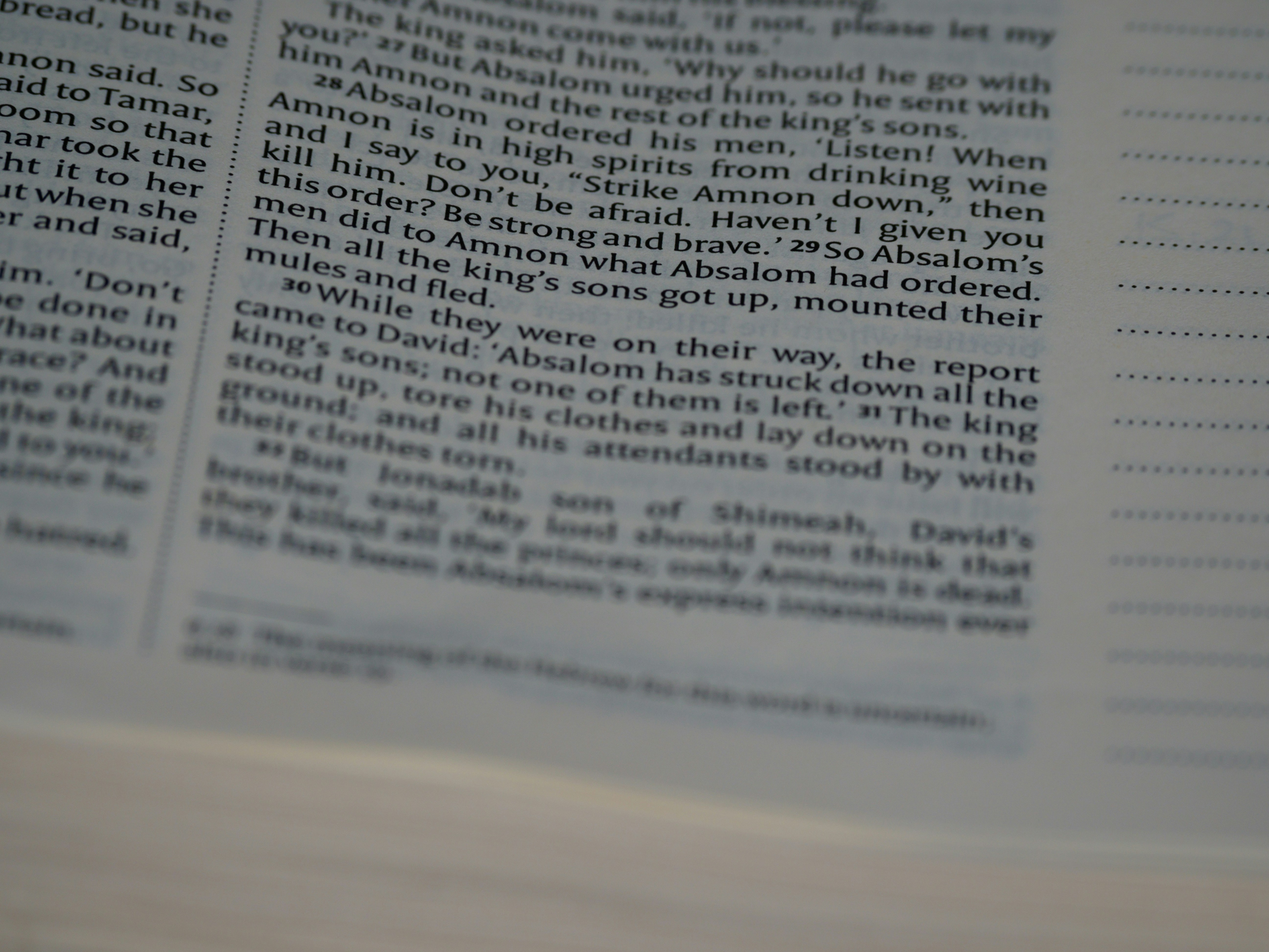 close up, bokeh, macro, blur, blurred background, close focus, bible, old testament, 2 samuel, samuel, book of samuel, gad, nathan, covenant, law, Nevi'im, prophets, Deuteronomistic history, rabbinic literature, shavuot, christian, judaism, history, text, reading, bible study, devotions, text, NIV, New International Version, type, typography, canon, christianity, holy scripture, holy bible, scripture,
