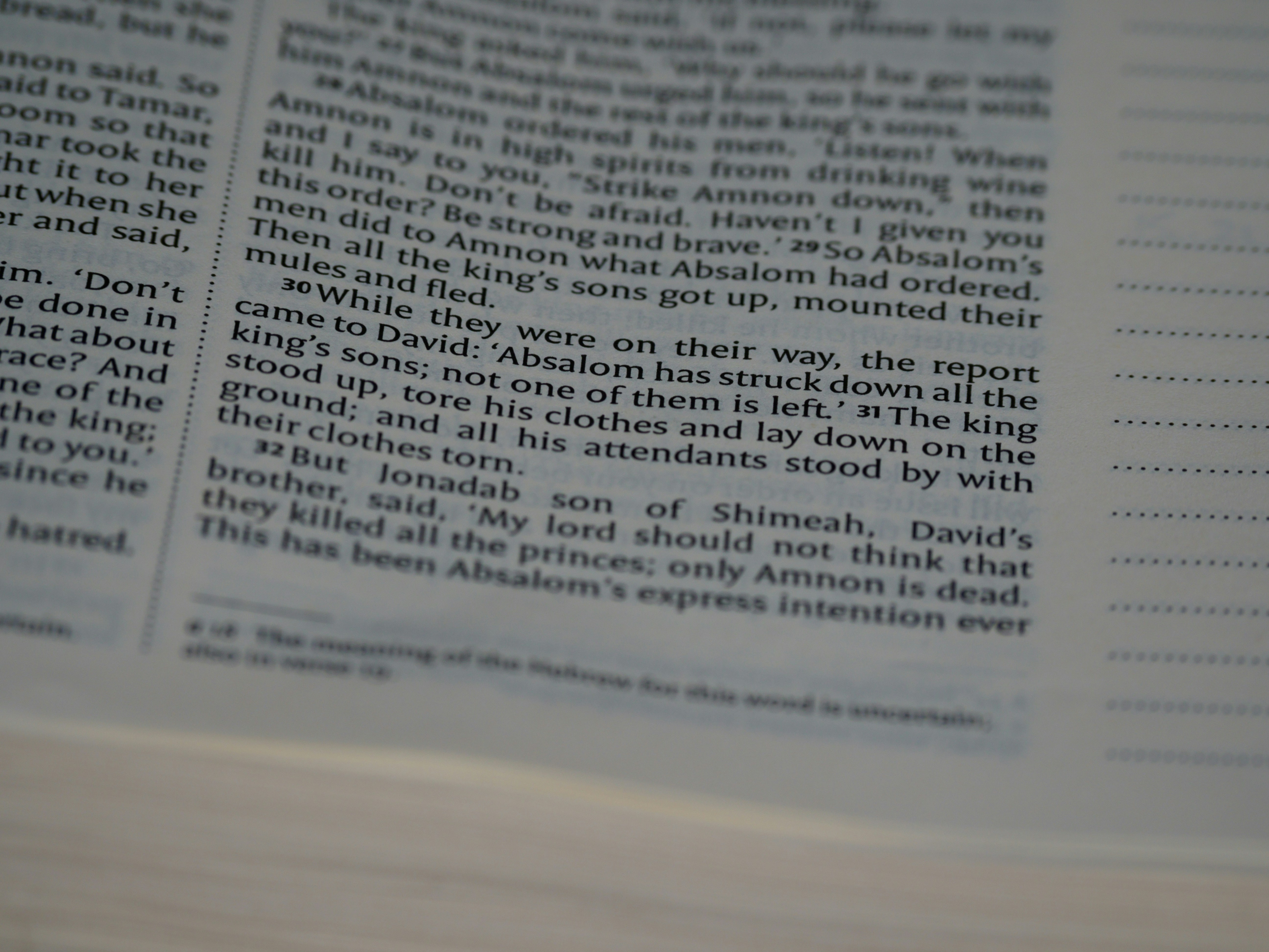 close up, bokeh, macro, blur, blurred background, close focus, bible, old testament, 2 samuel, samuel, book of samuel, gad, nathan, covenant, law, Nevi'im, prophets, Deuteronomistic history, rabbinic literature, shavuot, christian, judaism, history, text, reading, bible study, devotions, text, NIV, New International Version, type, typography, canon, christianity, holy scripture, holy bible, scripture,
