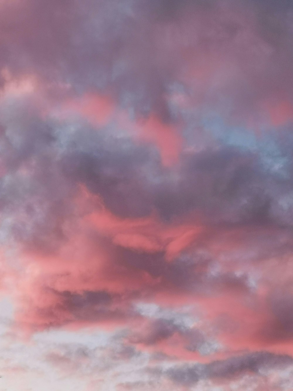 purple and pink clouds during daytime
