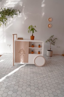 A minimalist interior space features a light-colored hexagonal-tiled floor and a stylish wooden cabinet with circular ends. The cabinet has an engraved tree pattern and houses several small potted plants. A larger potted plant stands on top of the cabinet, while more plants can be seen to the side, adding greenery to the room. Two round wall decorations are mounted on a plain wall, providing subtle artistic elements. Natural light casts soft shadows on the surfaces, enhancing the serene atmosphere.
