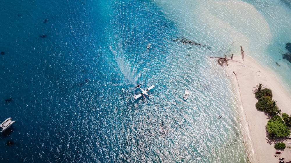 aerial view of people surfing on sea during daytime