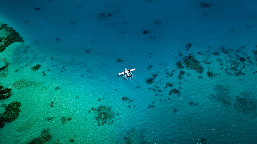 white and black boat on blue sea water during daytime