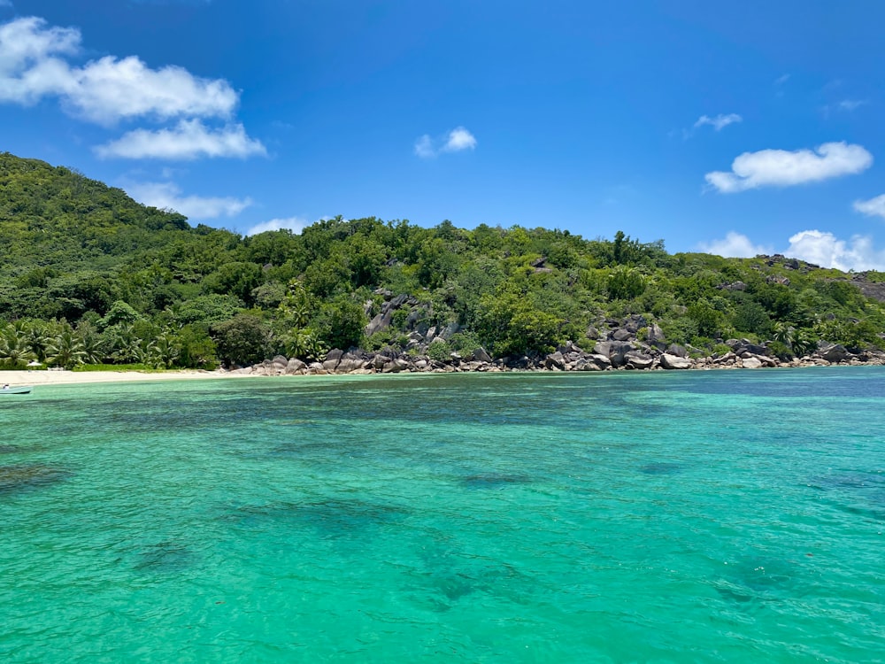 green trees on island surrounded by water under blue sky during daytime