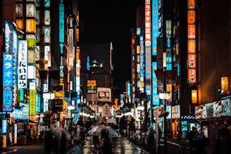 people walking on street during night time