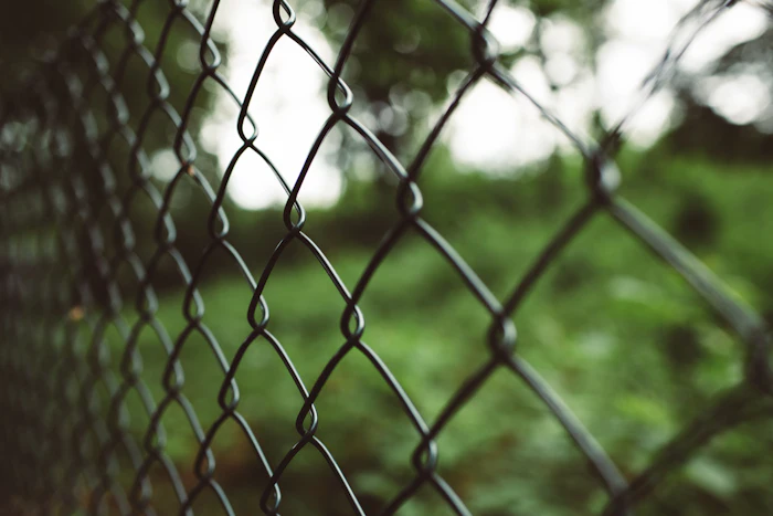 Chain link fence with green trees behind