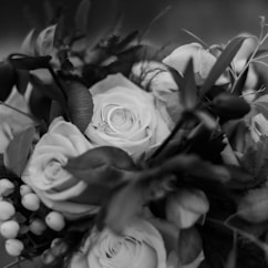 greyscale photo of rose flower