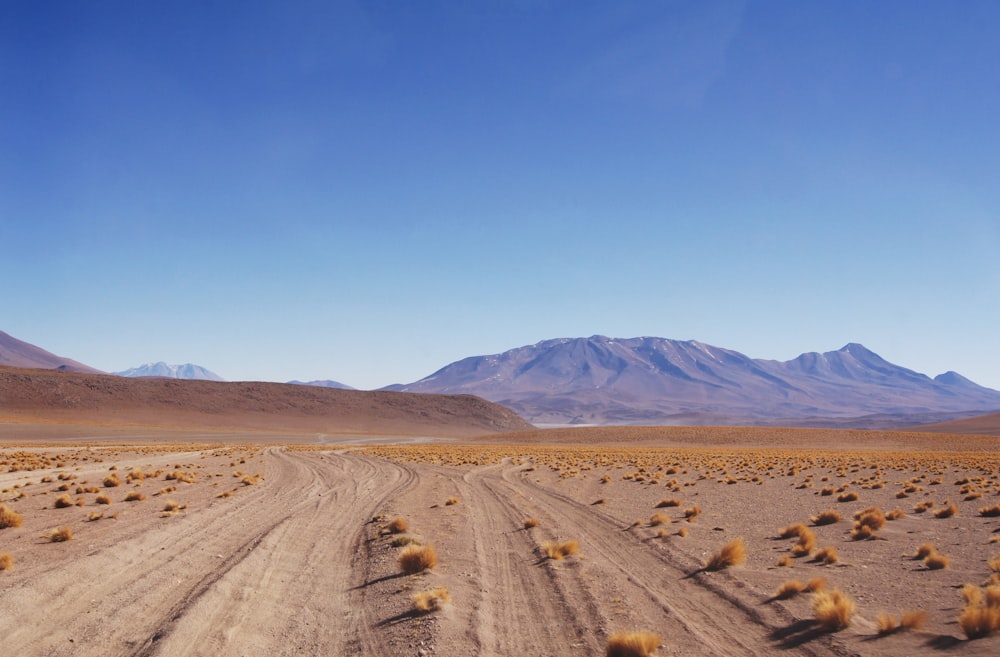 brown sand field under blue sky during daytime