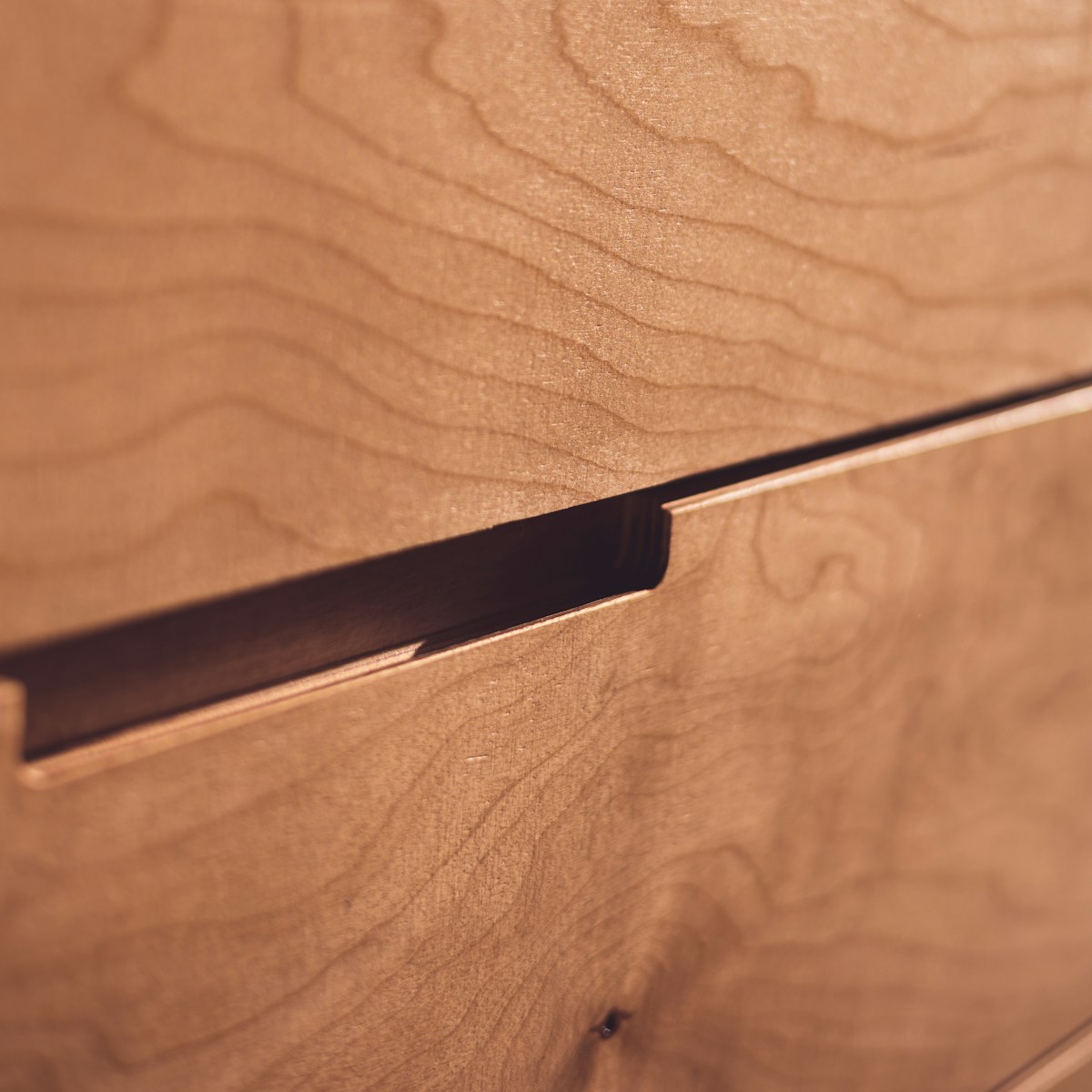 detailed texture of one of the wood laminates